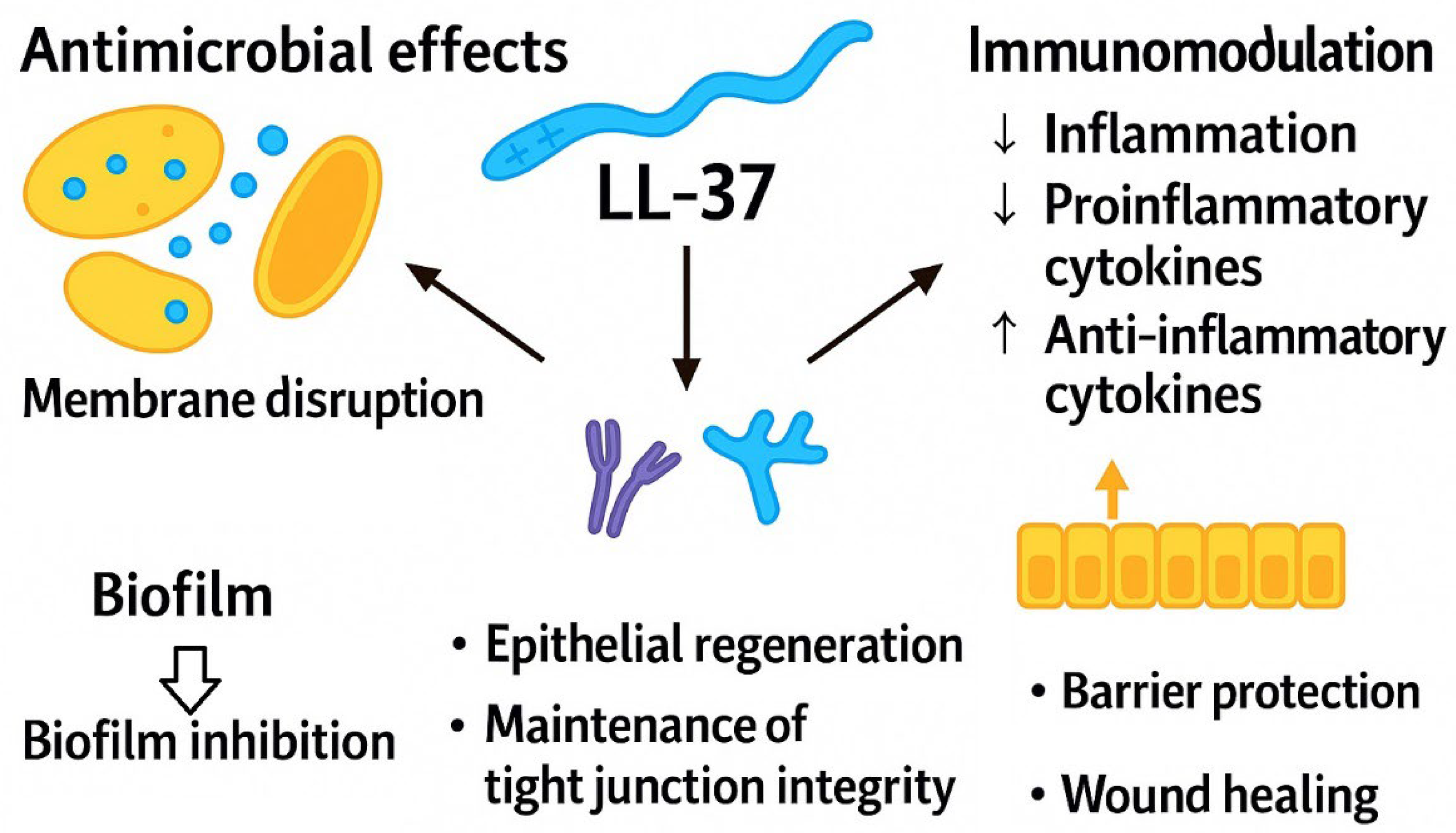 Preprints 192312 g002