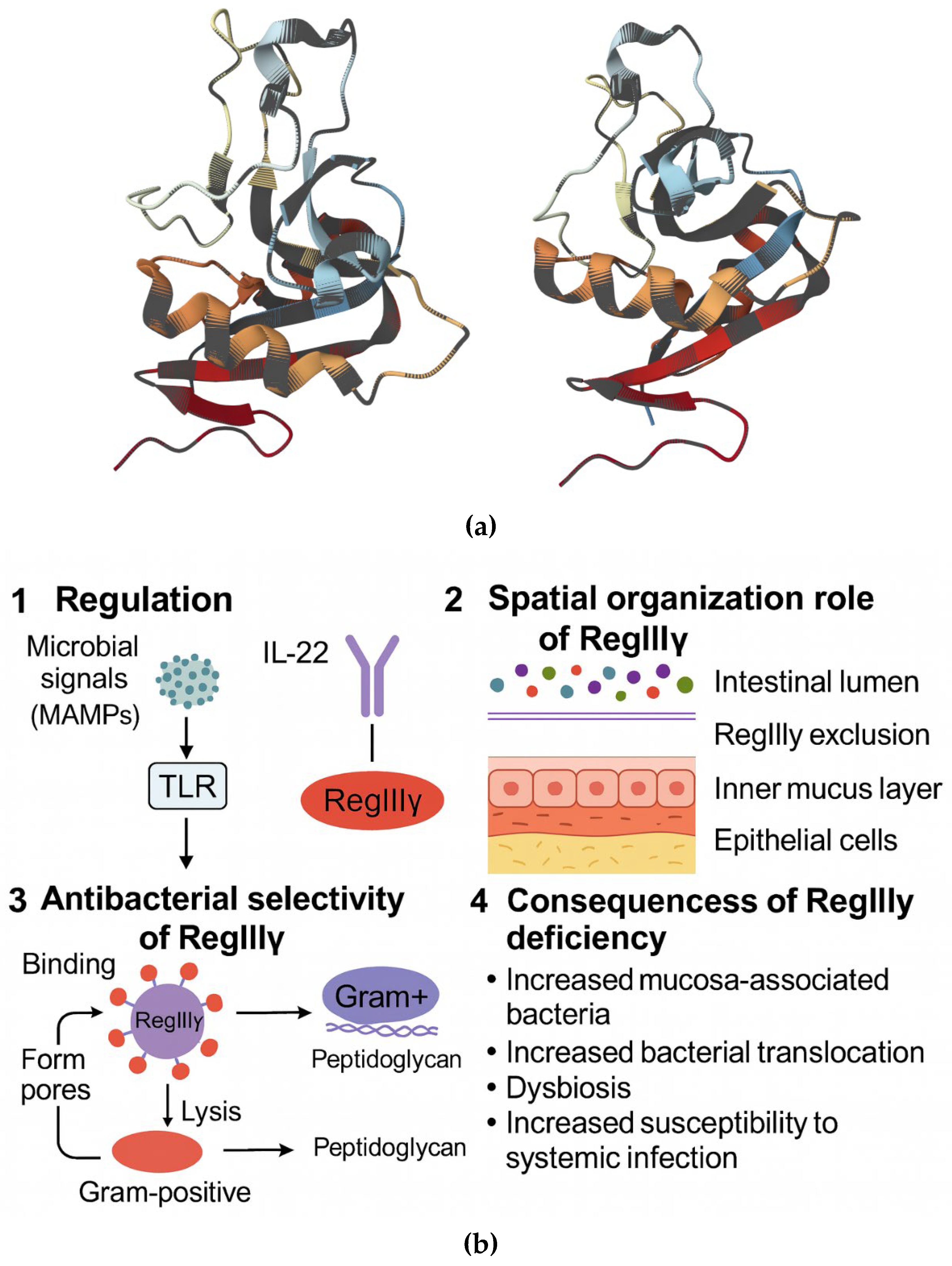 Preprints 192312 g003