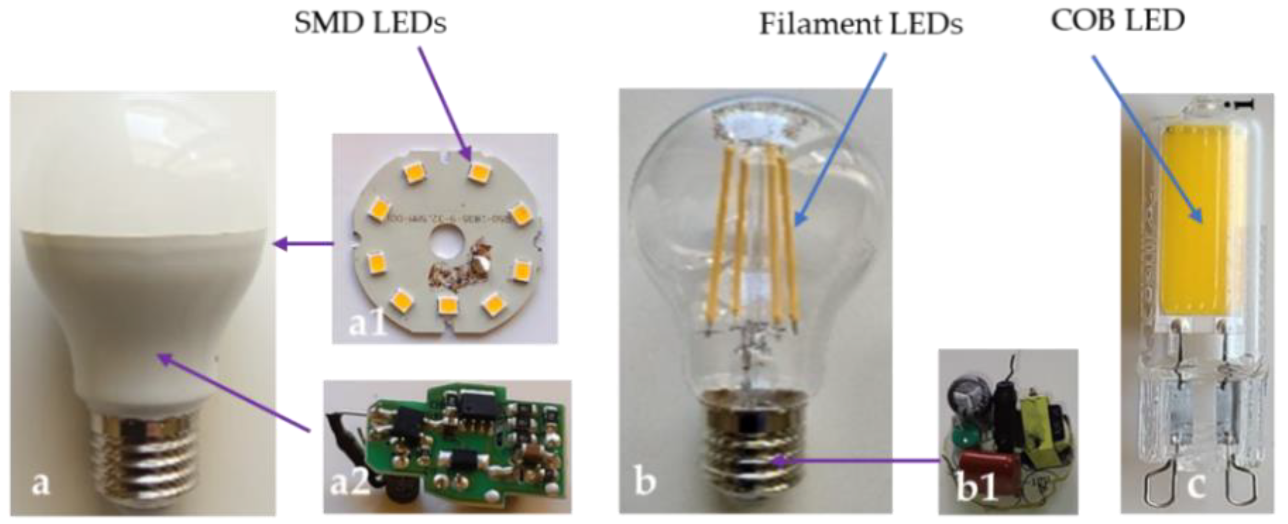 Preprints 138274 g001