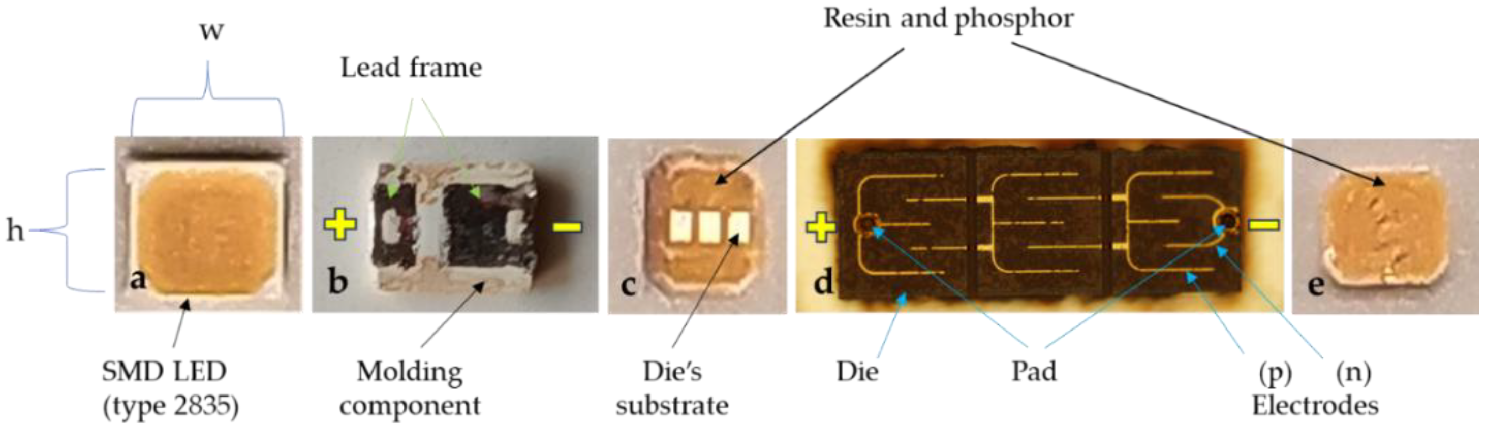 Preprints 138274 g002