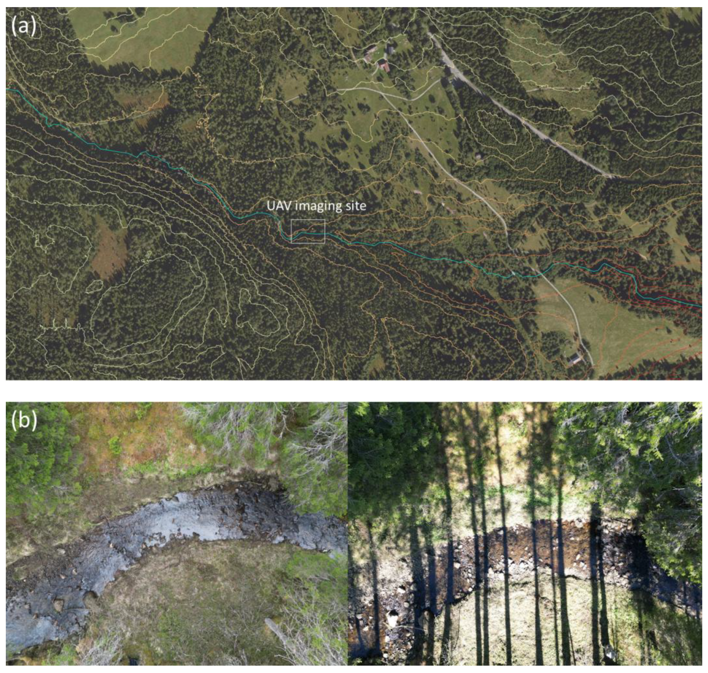 Preprints 161959 g001