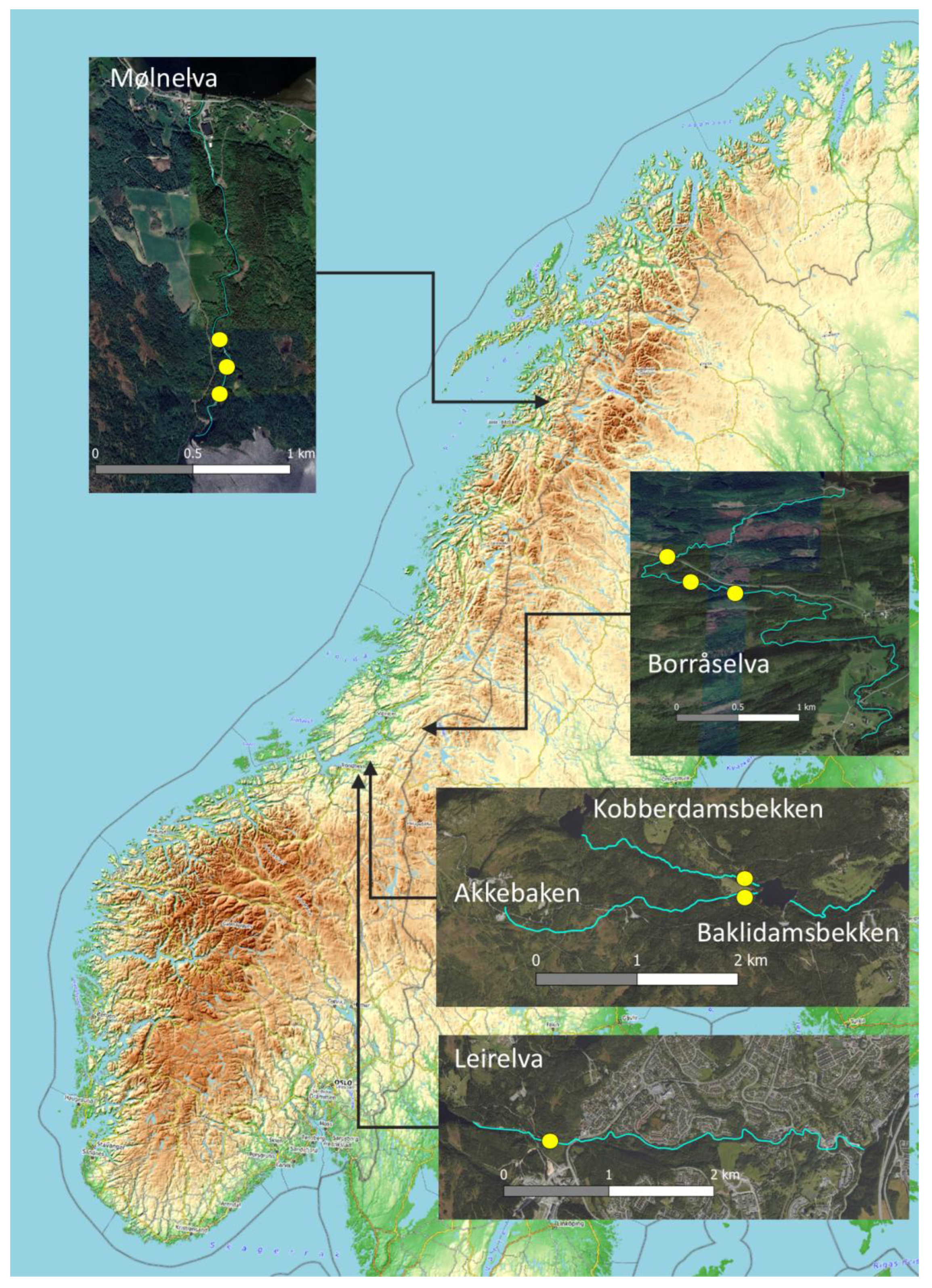 Preprints 161959 g002