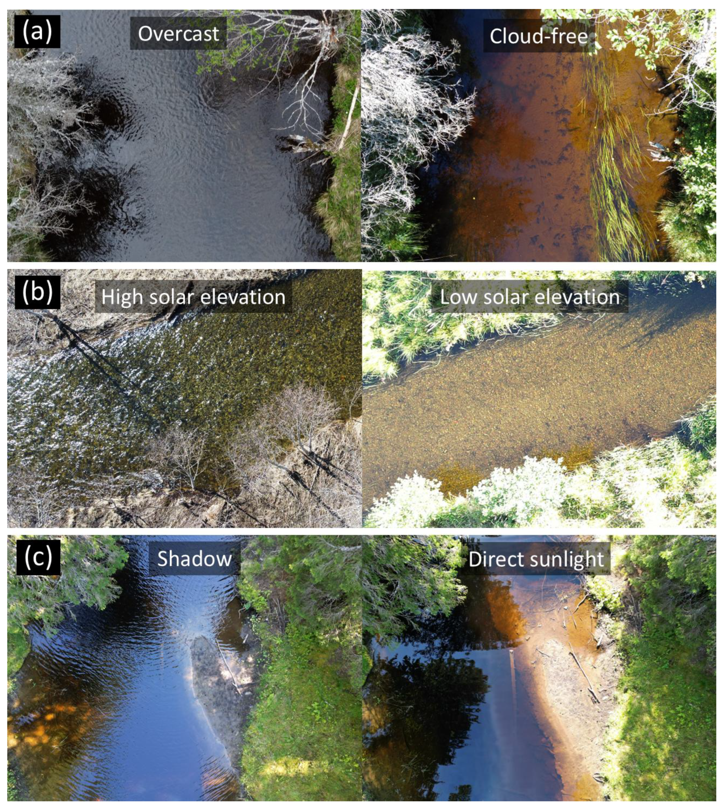 Preprints 161959 g003