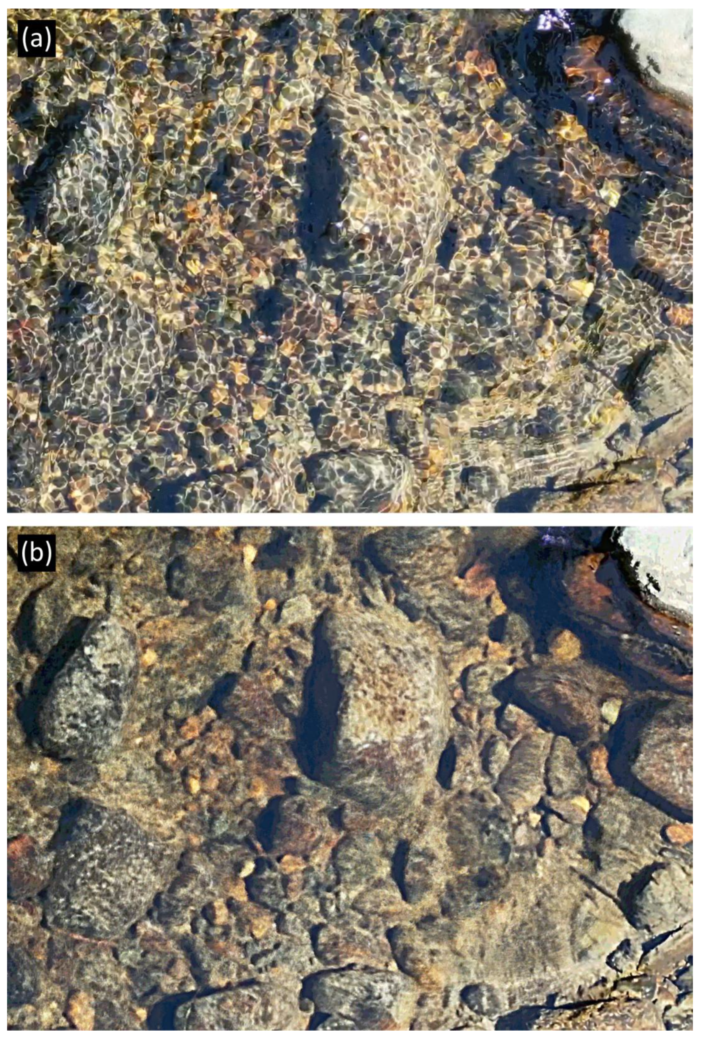 Preprints 161959 g006