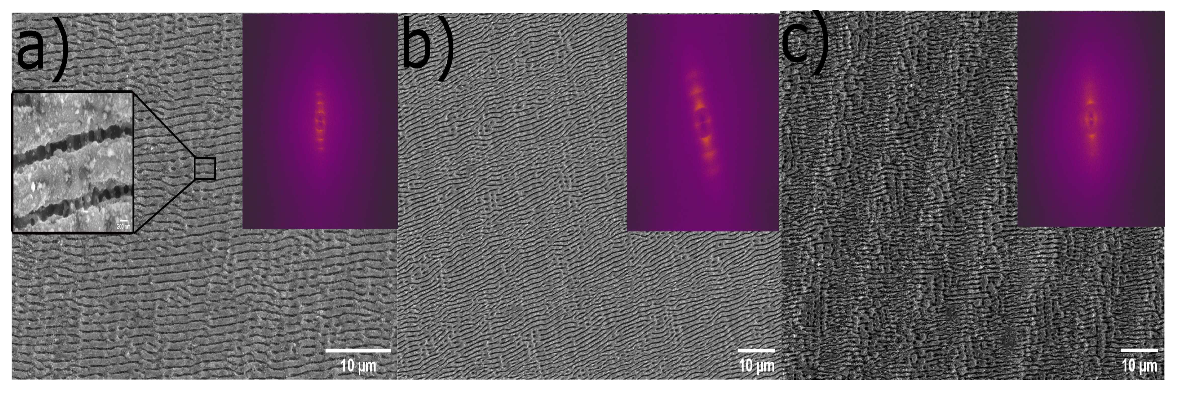 Preprints 84342 g005