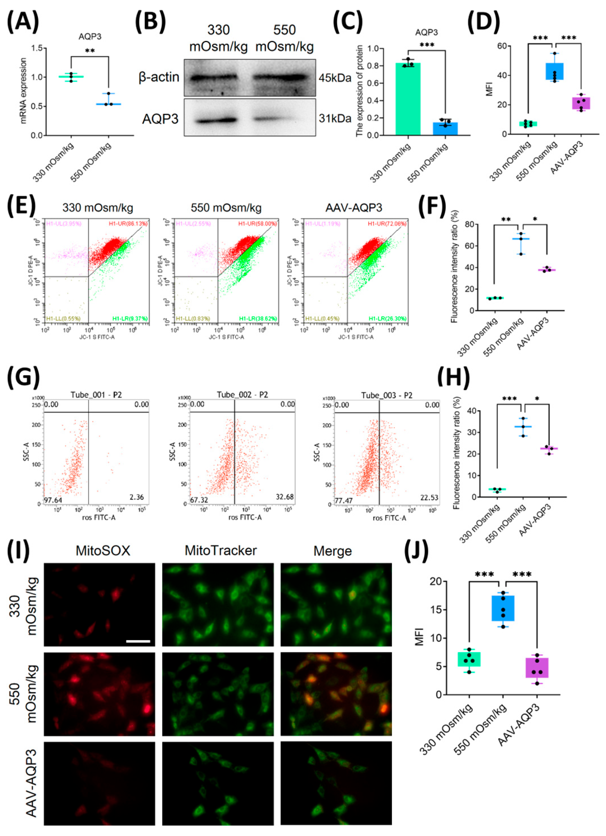 Preprints 161815 g003