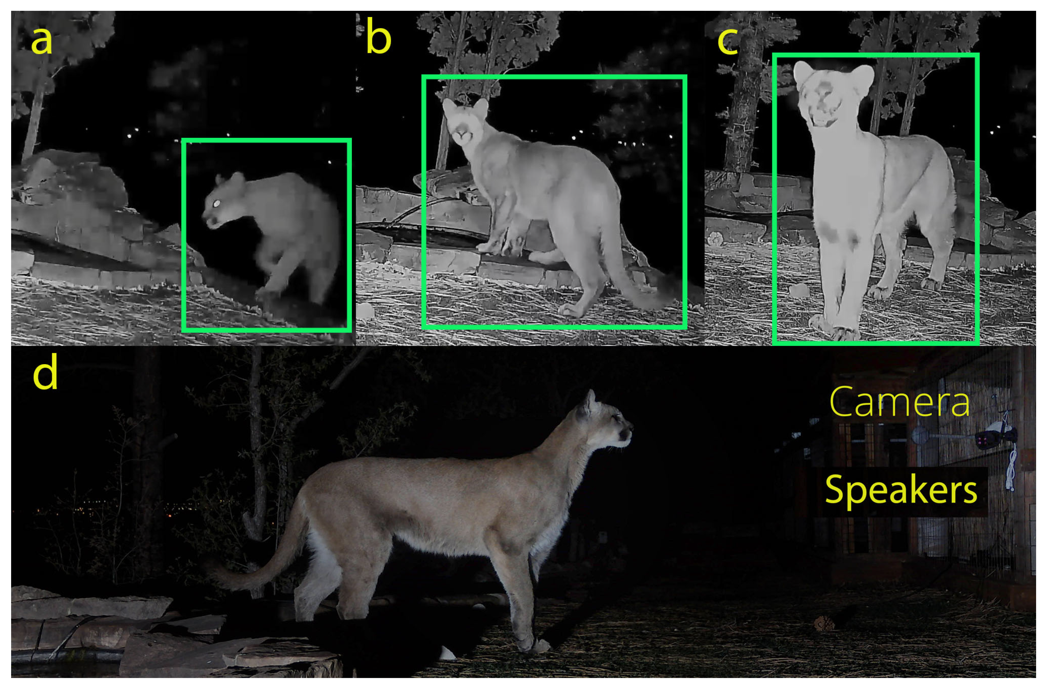 Preprints 193232 g002