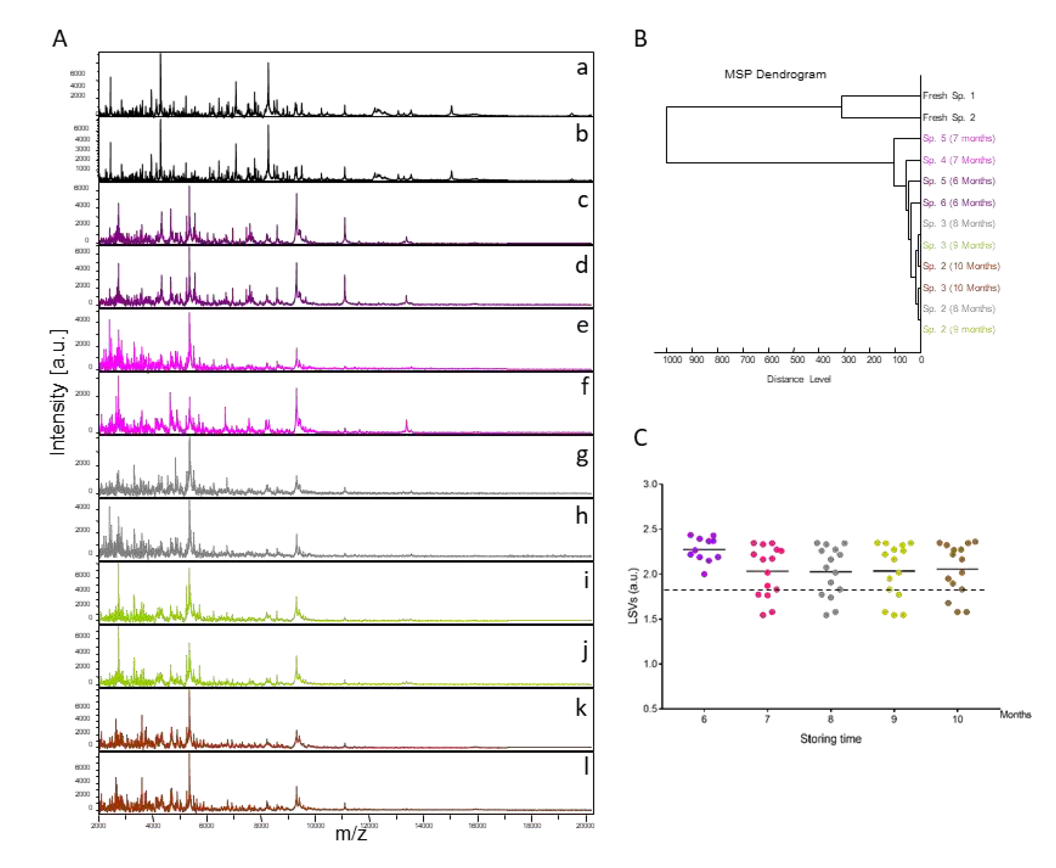 Preprints 72479 g001