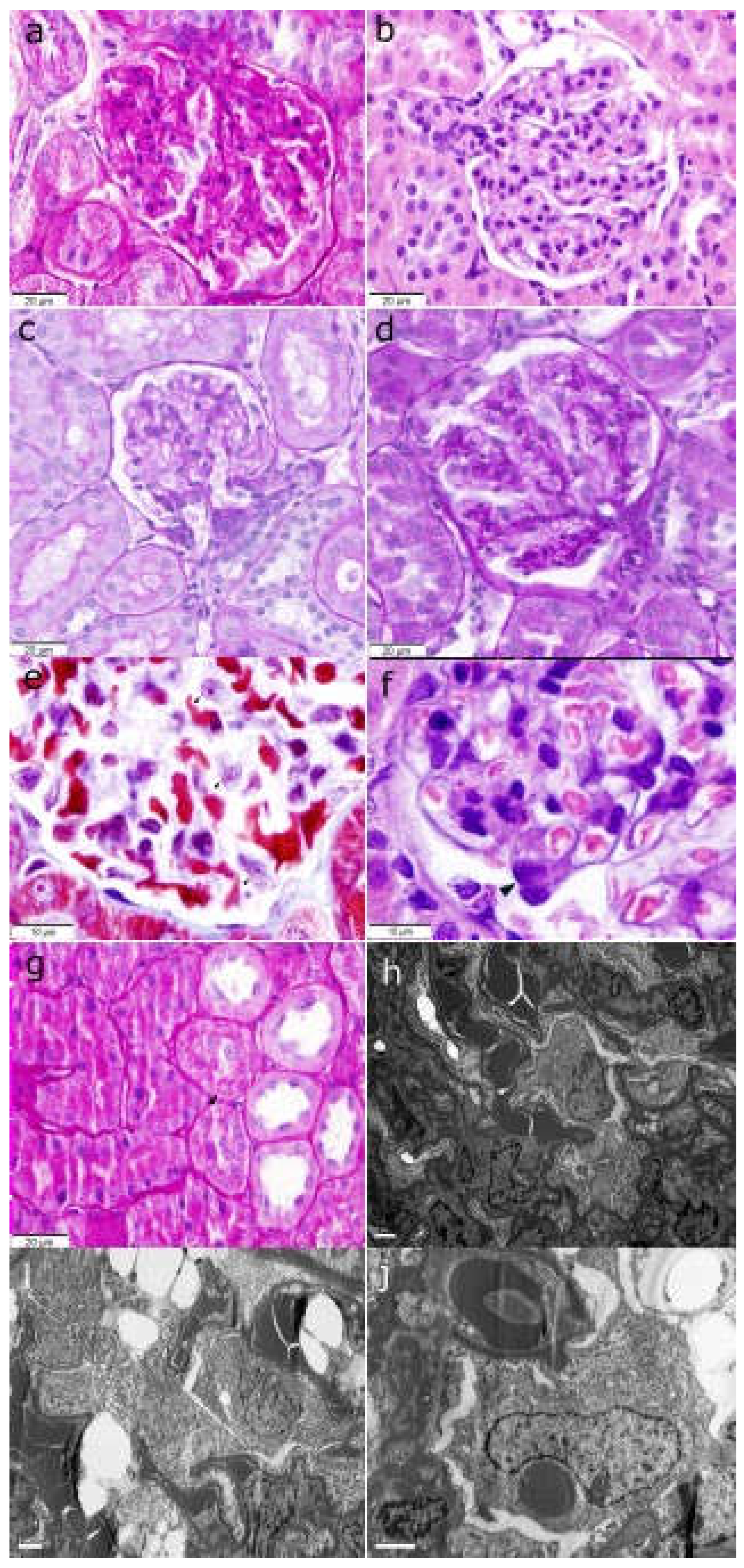 Preprints 105518 g002