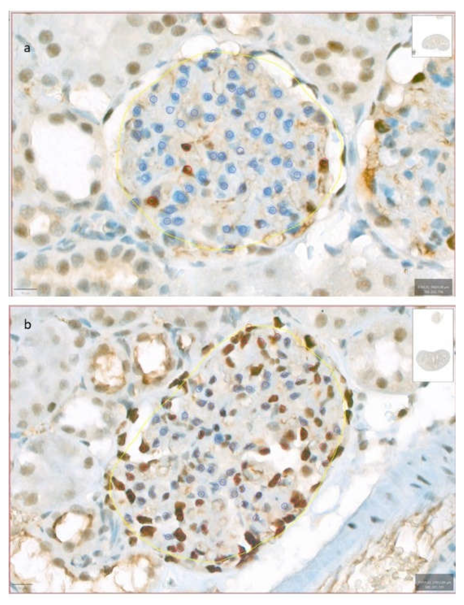 Preprints 105518 g003
