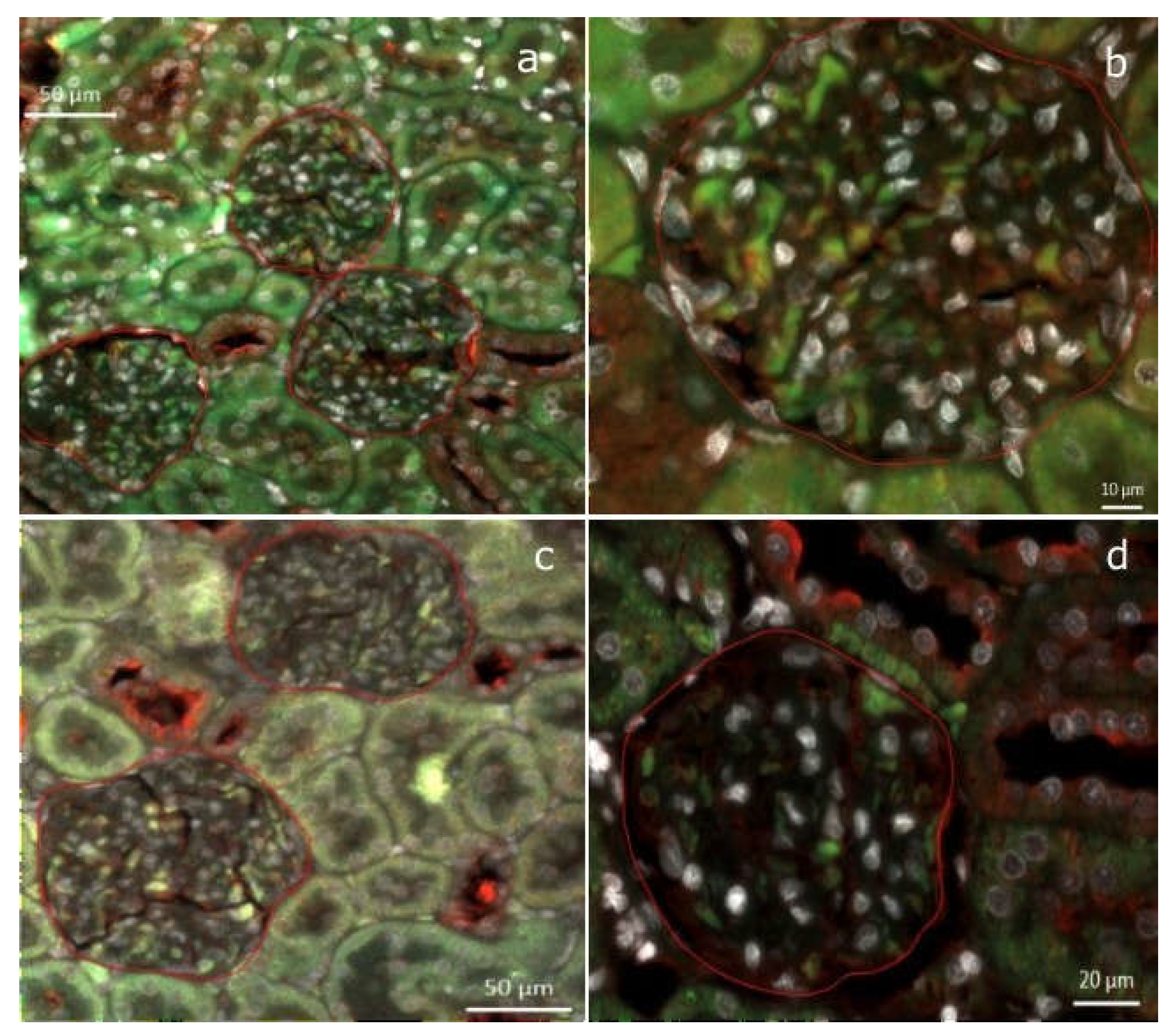 Preprints 105518 g006