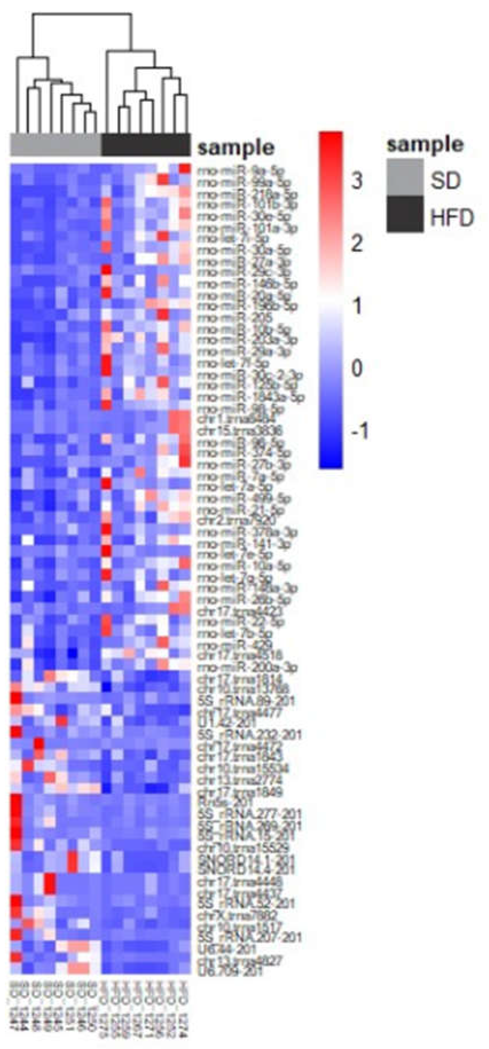 Preprints 105518 g008