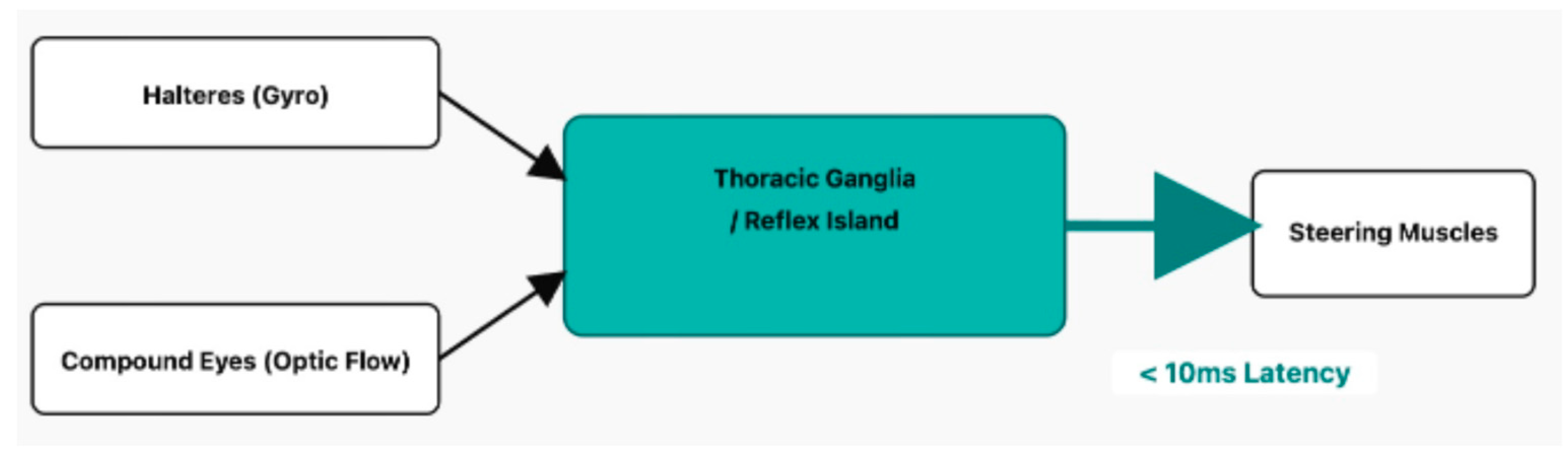 Preprints 185889 g001