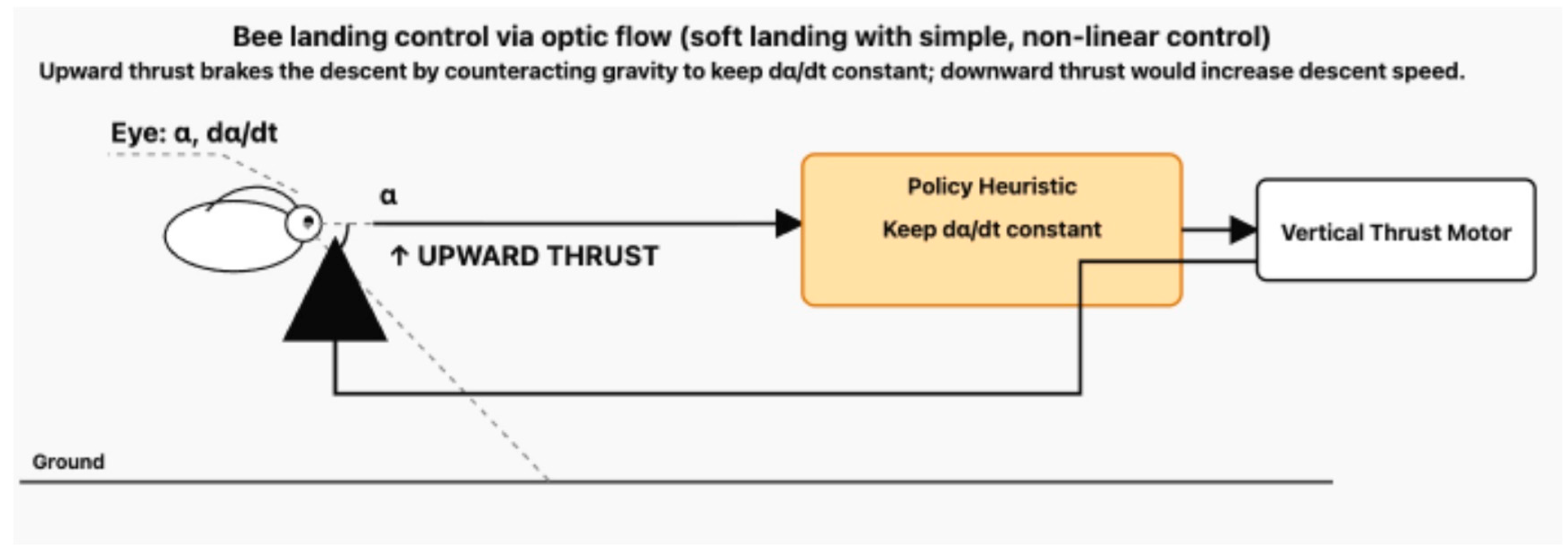 Preprints 185889 g003