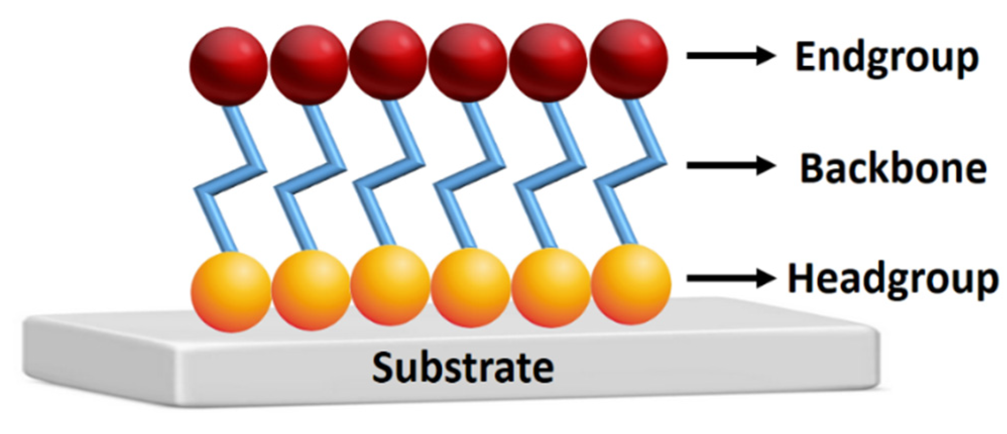 Preprints 140955 g001
