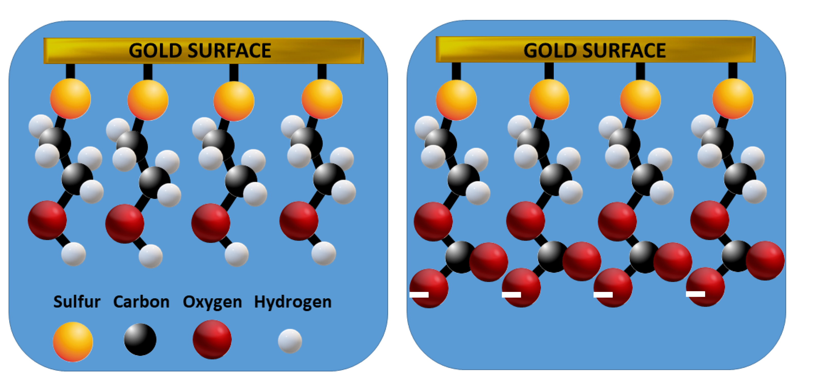 Preprints 140955 g002