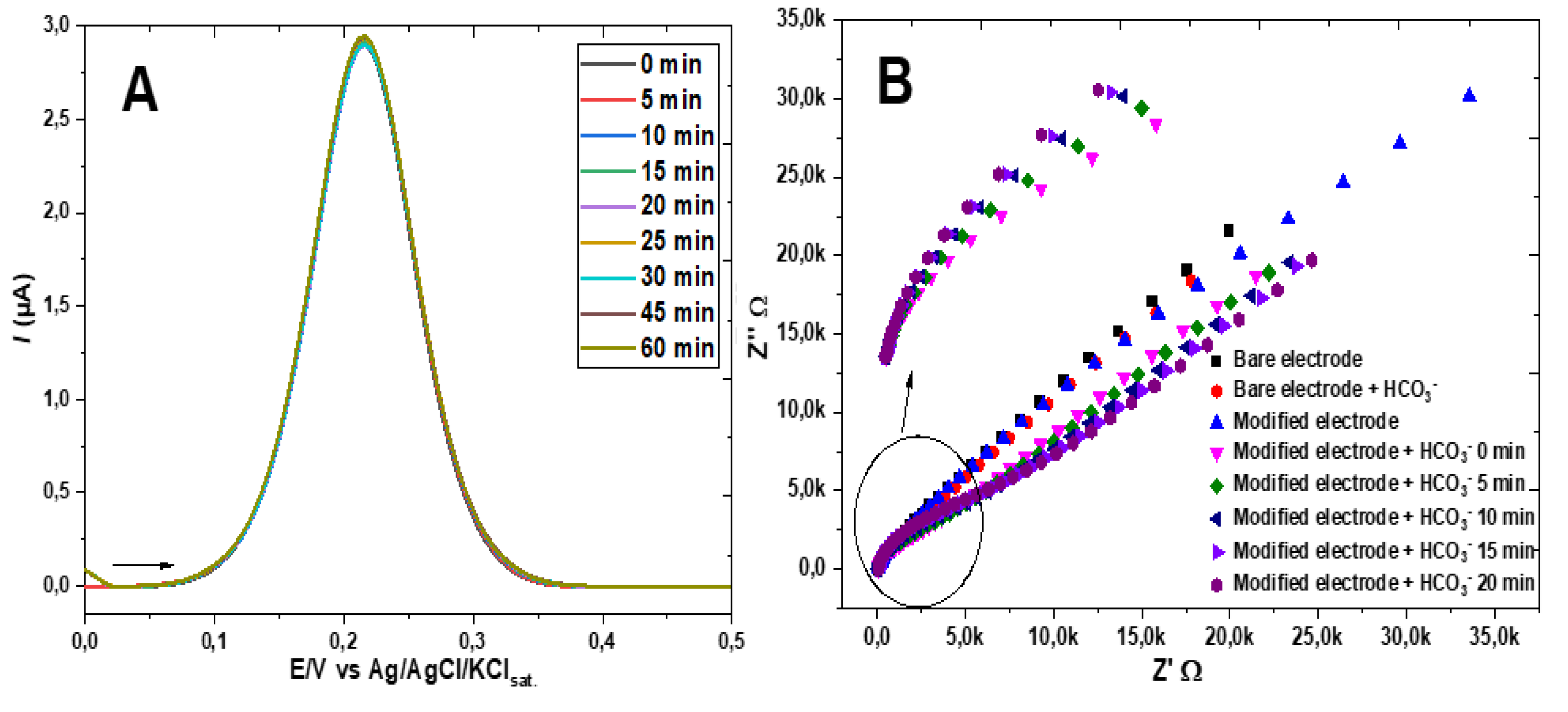 Preprints 140955 g005