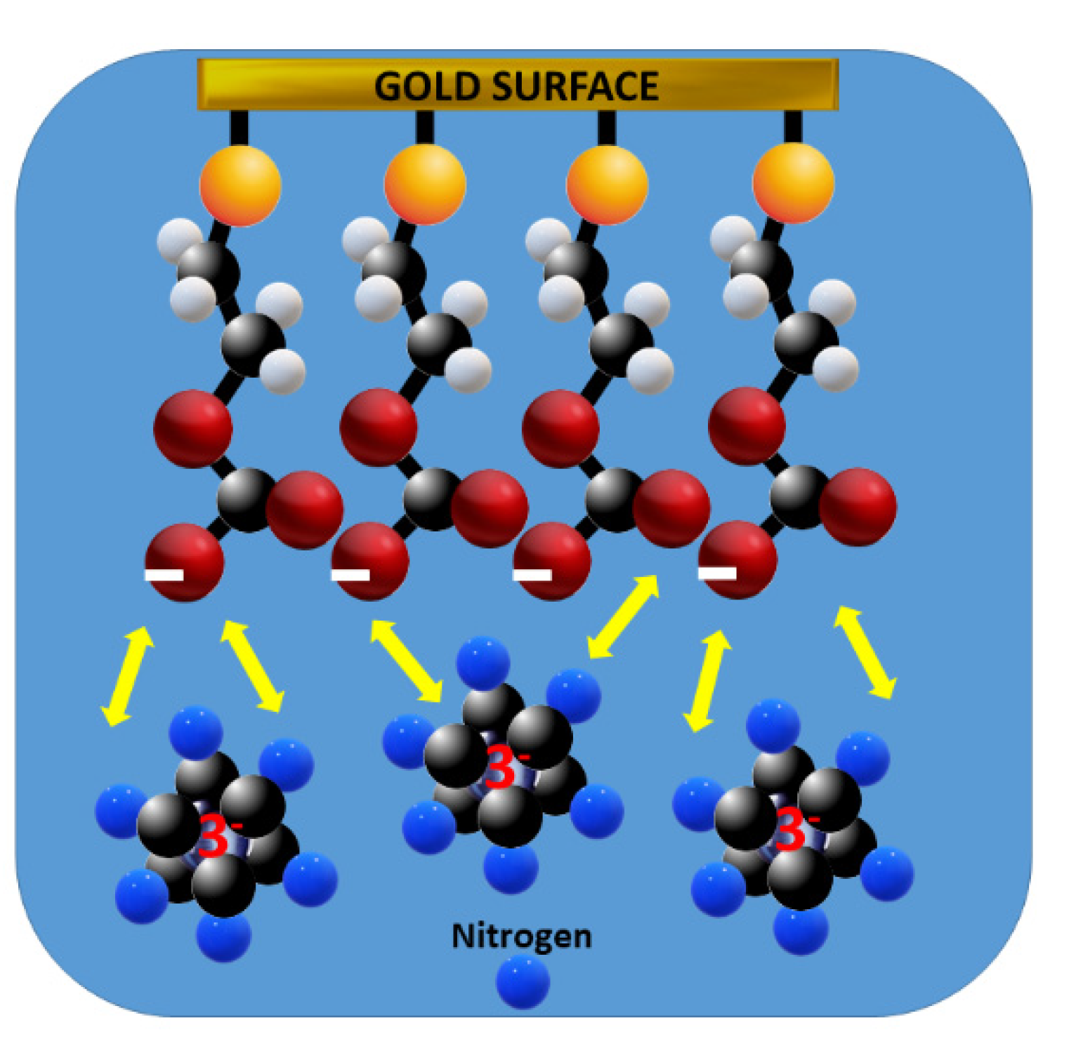Preprints 140955 g006