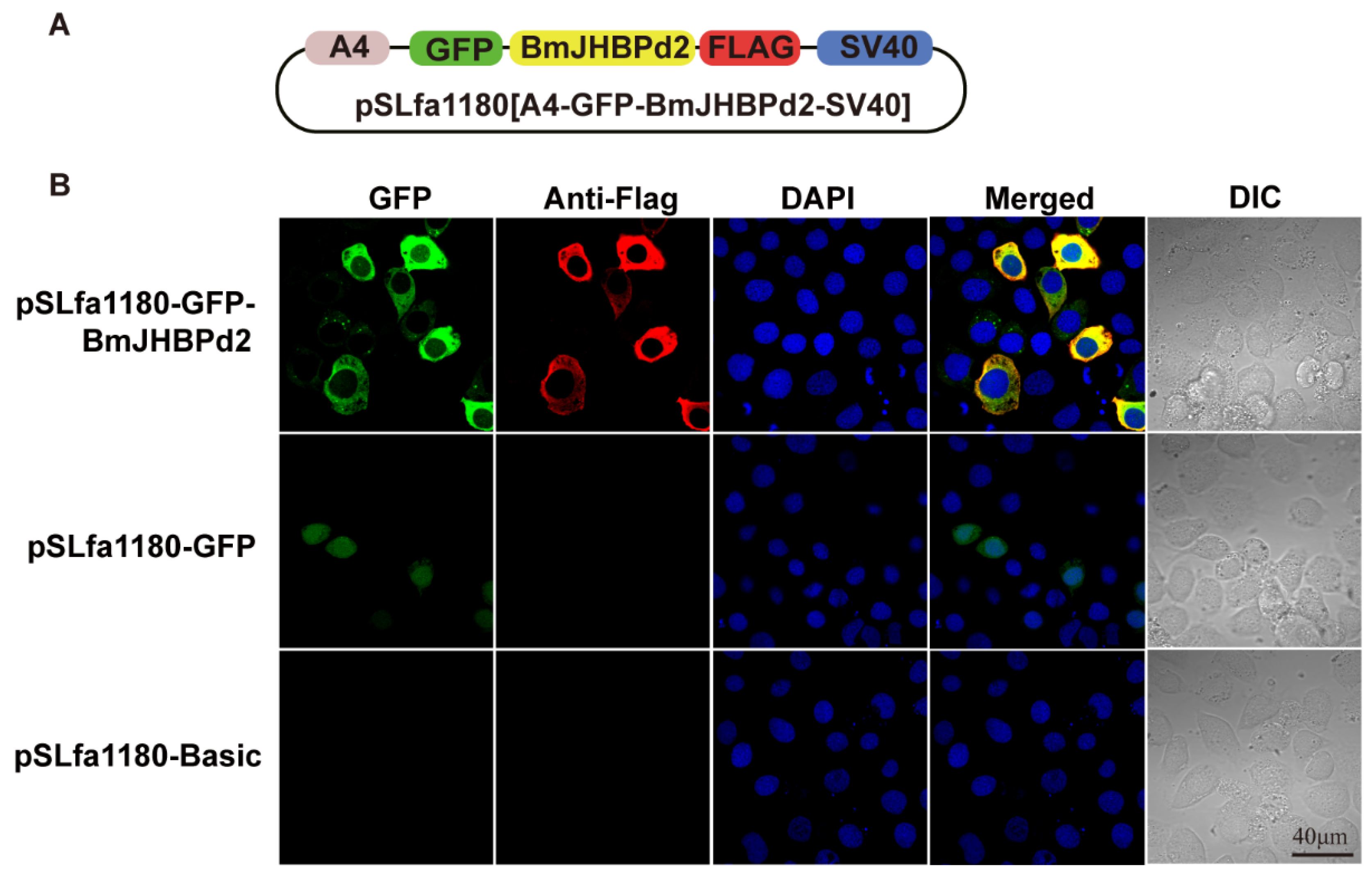 Preprints 74893 g002