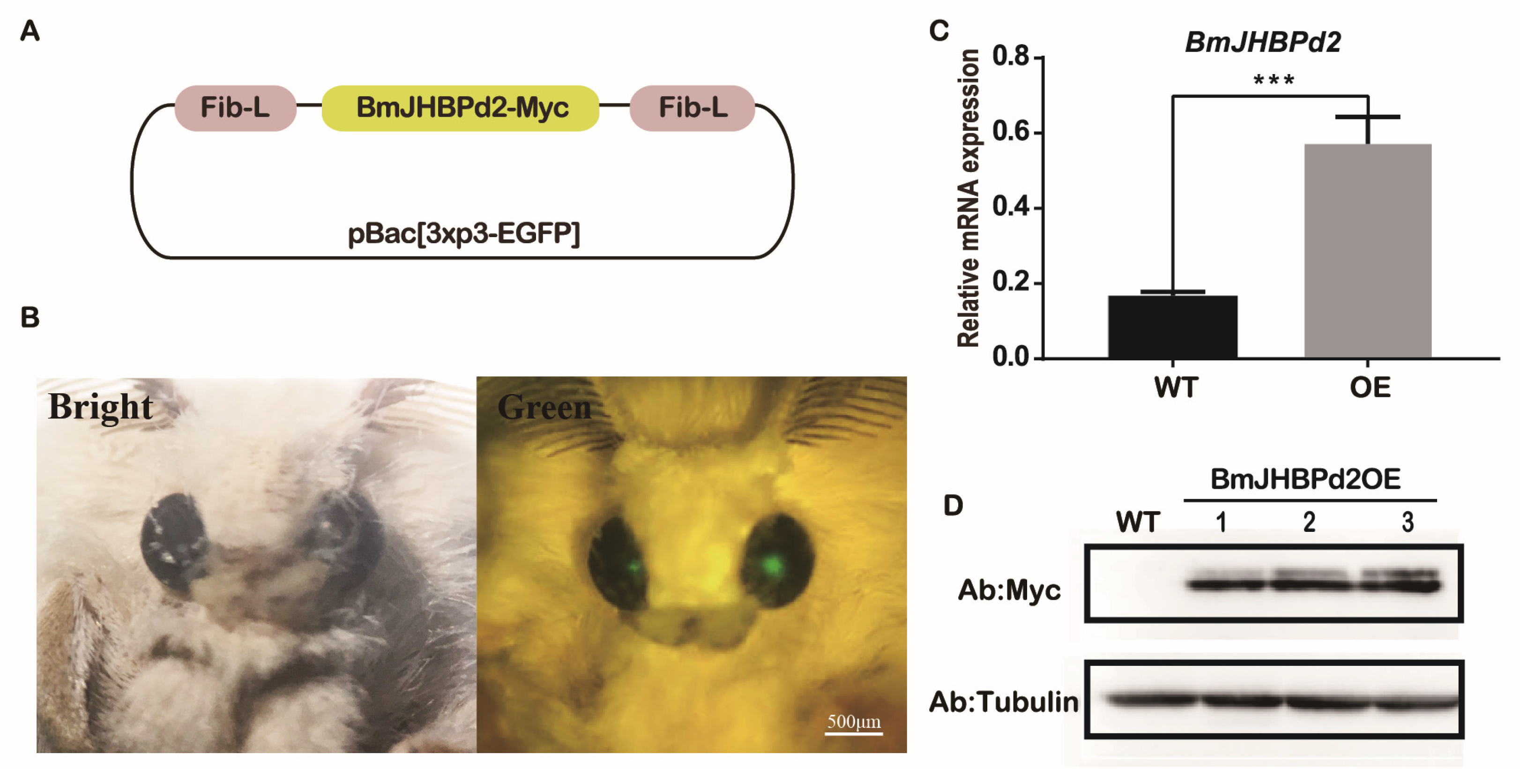 Preprints 74893 g004