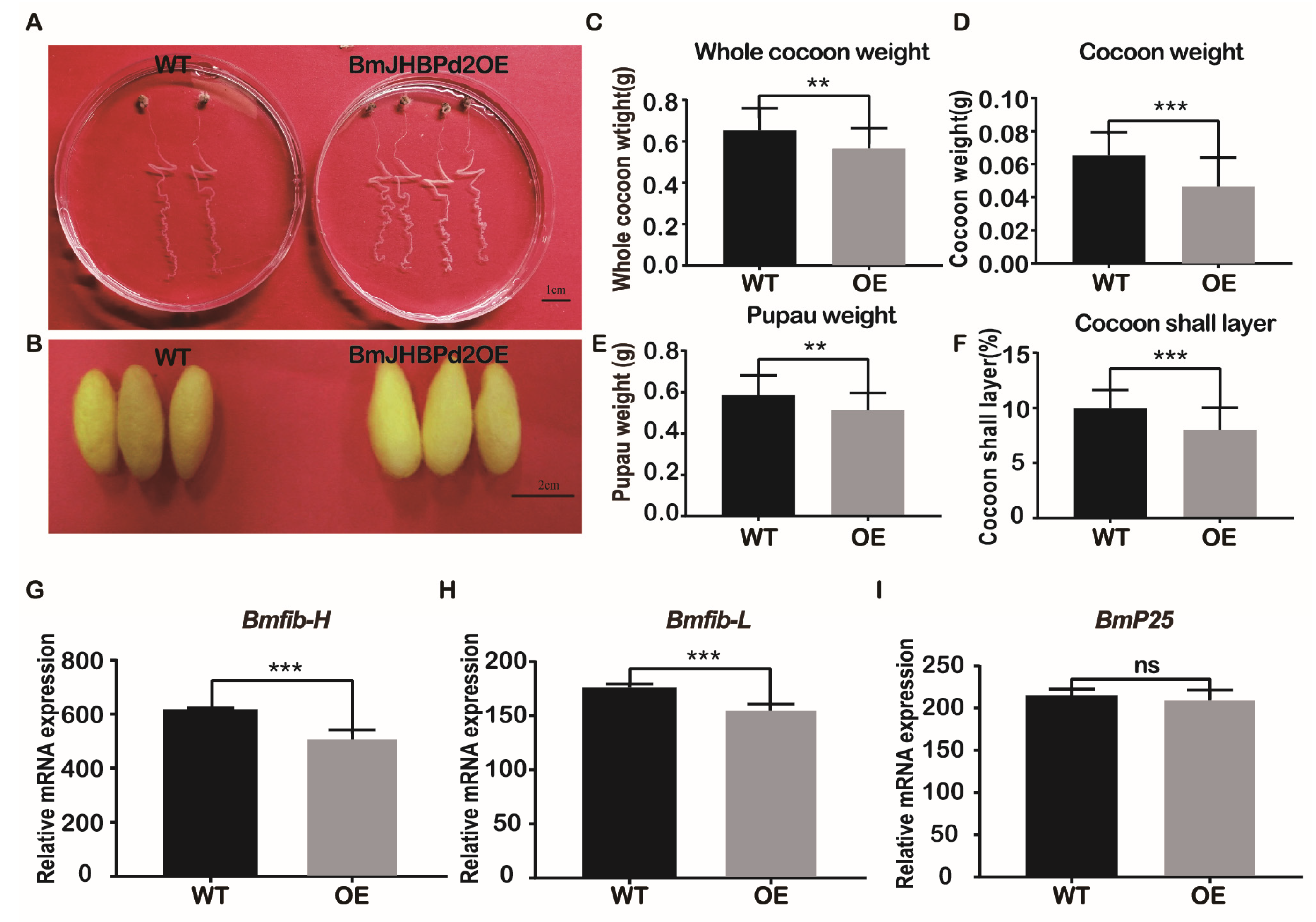 Preprints 74893 g005
