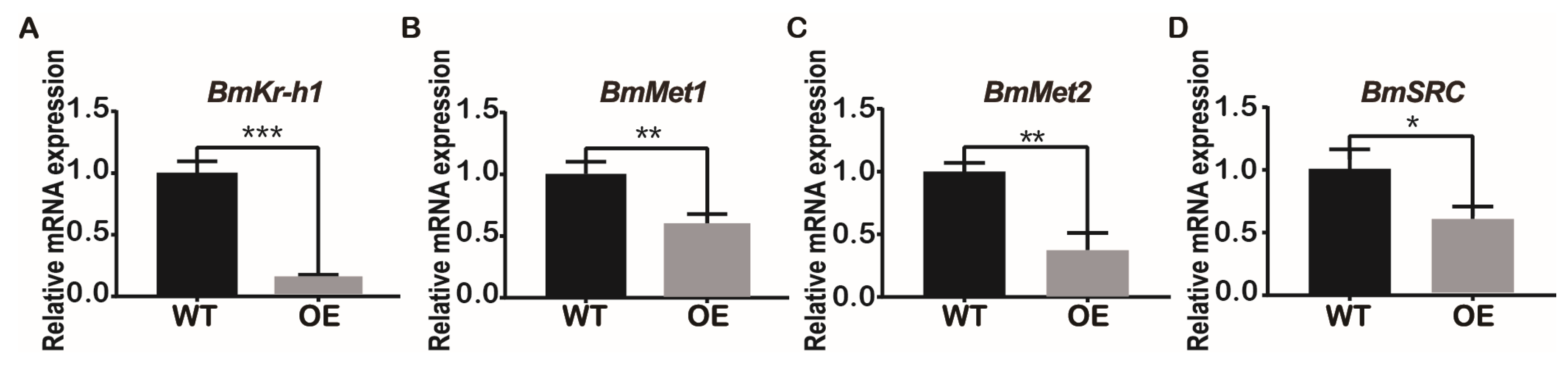 Preprints 74893 g006
