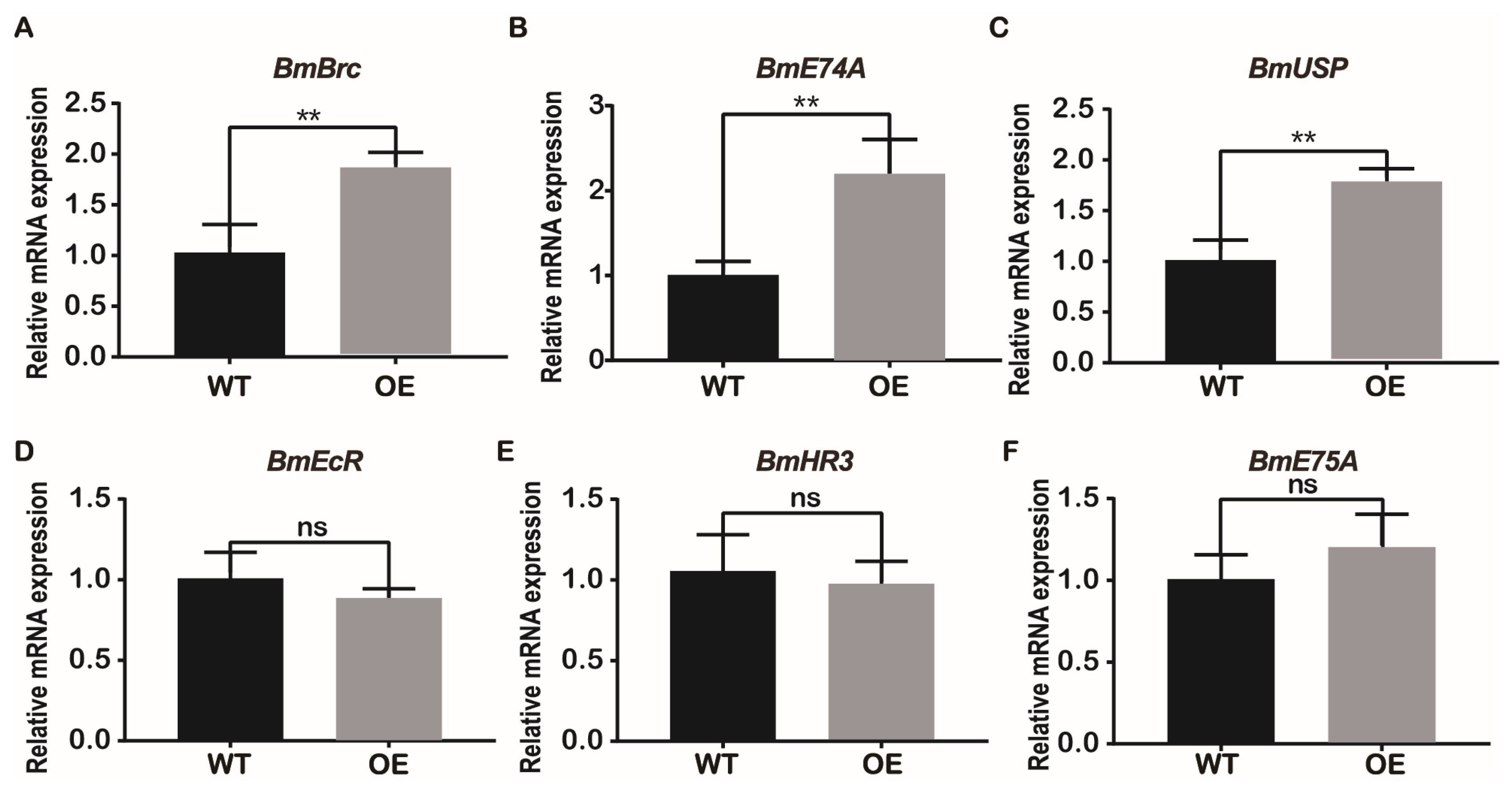 Preprints 74893 g007