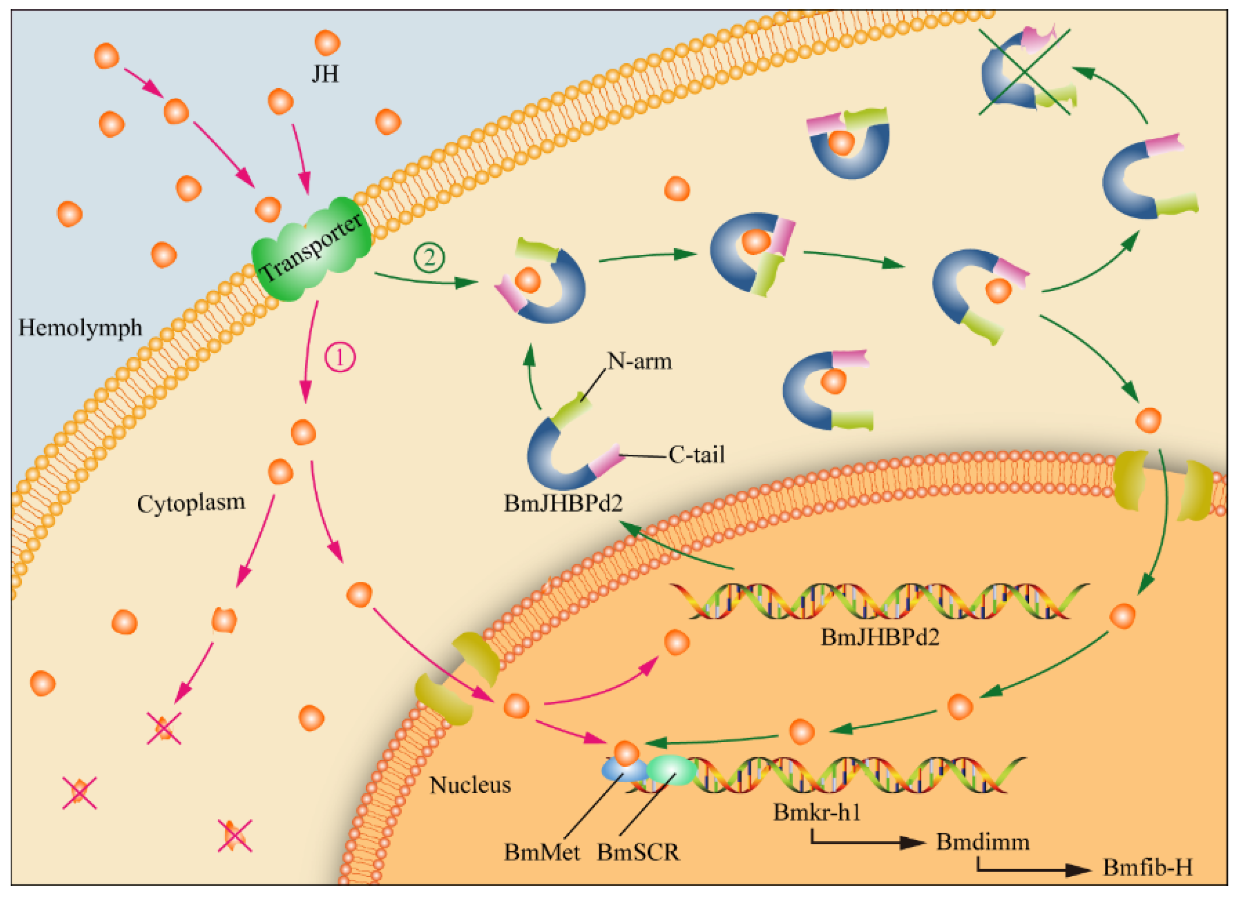 Preprints 74893 g008