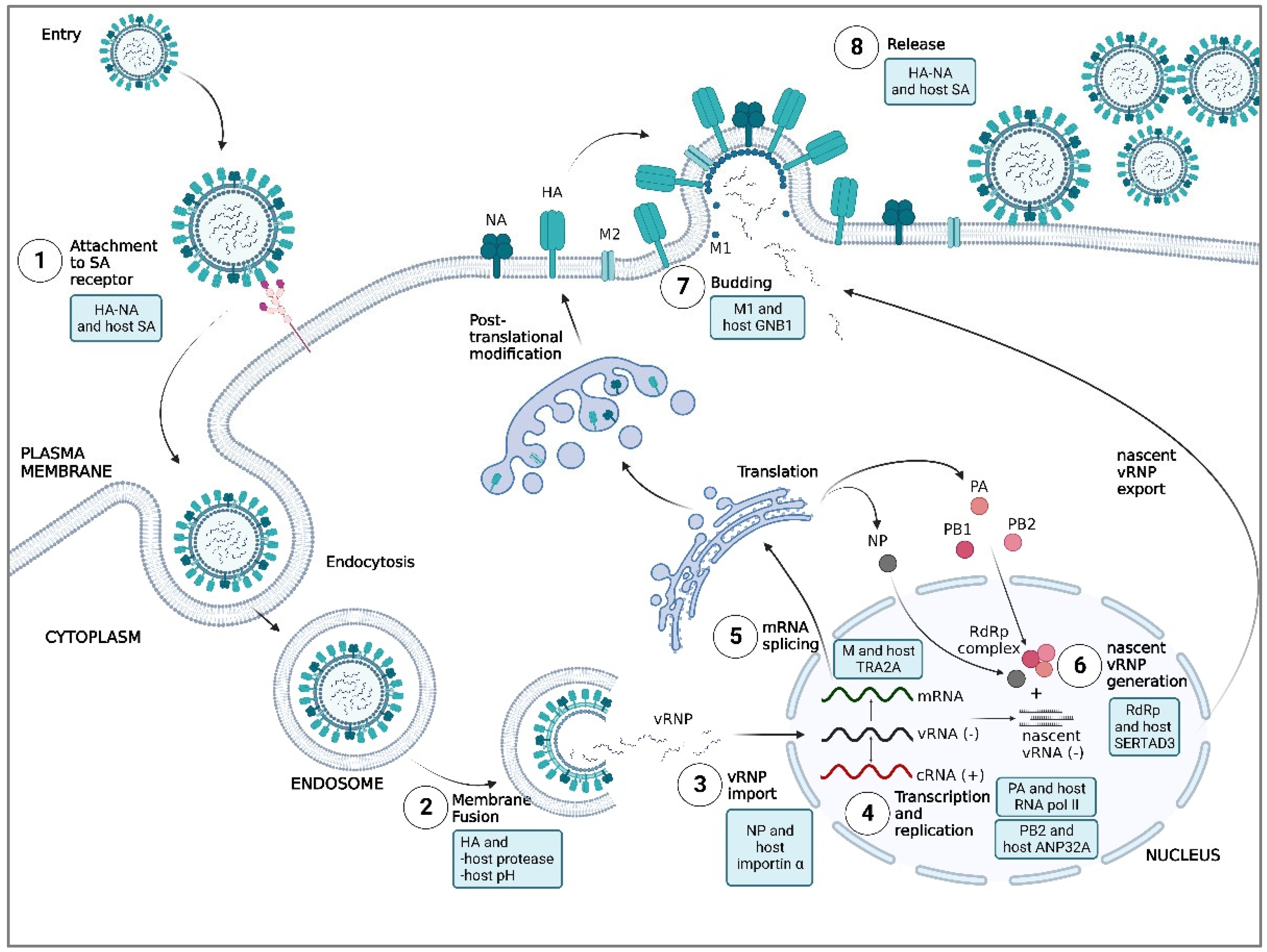 Preprints 68280 g003