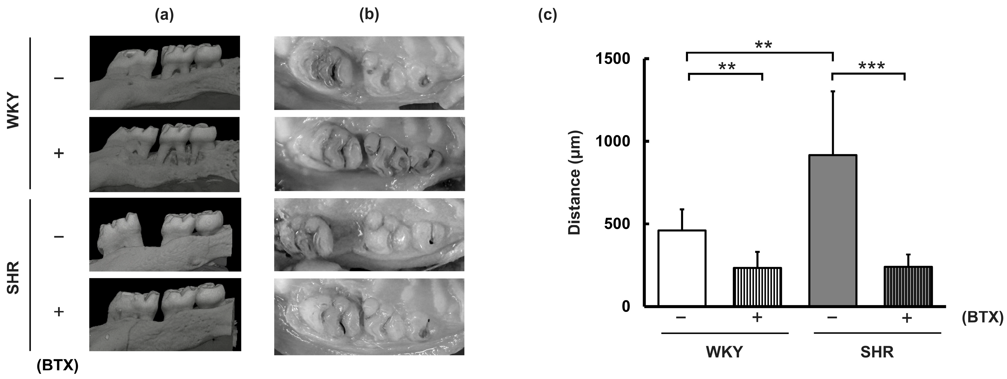 Preprints 227129 g003 Preprints 227129 g003