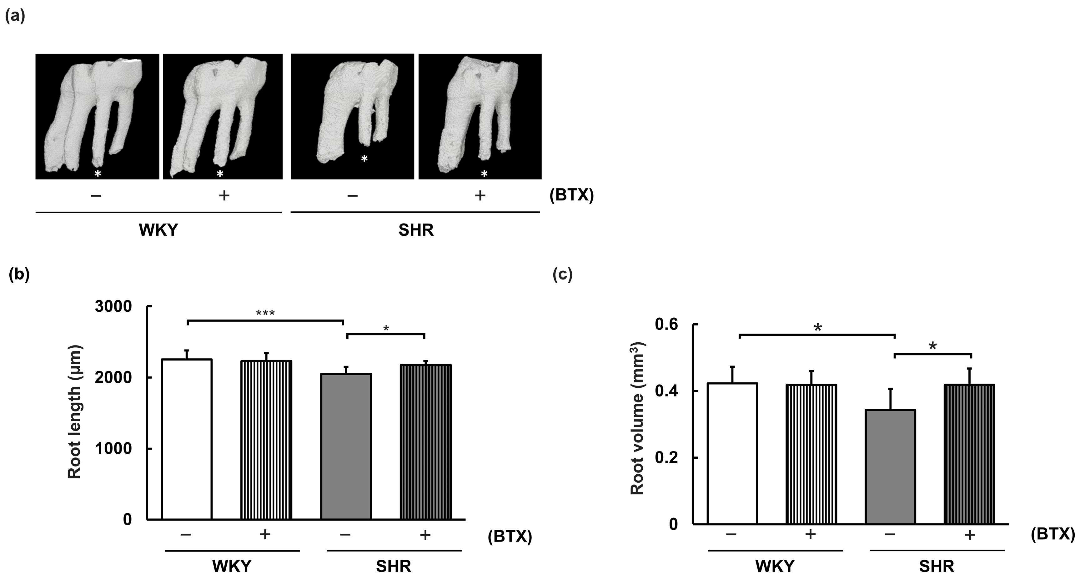 Preprints 227129 g004 Preprints 227129 g004
