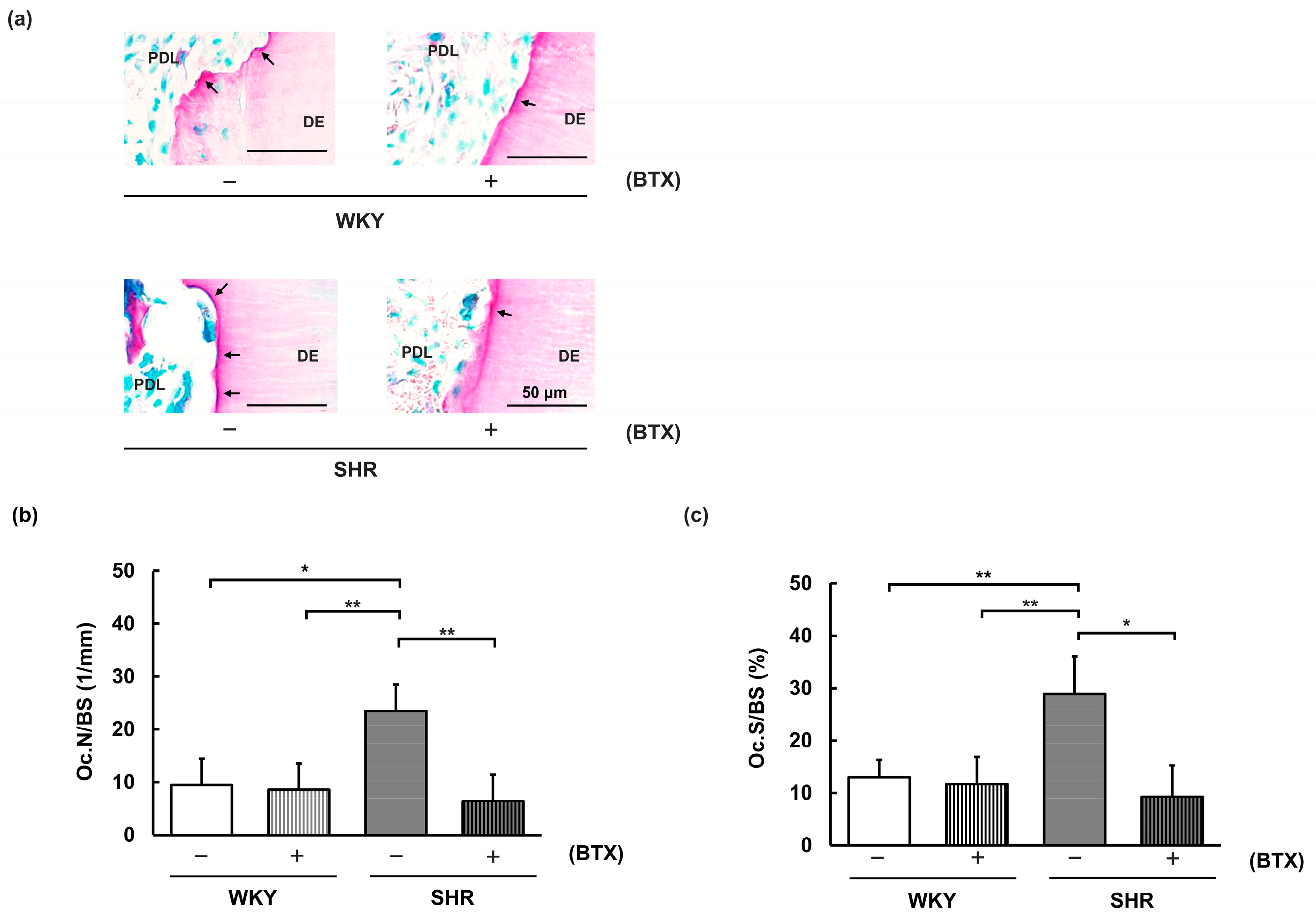 Preprints 227129 g005 Preprints 227129 g005