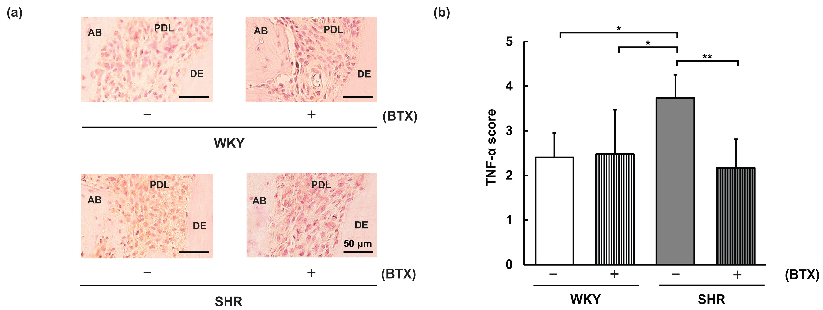 Preprints 227129 g006 Preprints 227129 g006