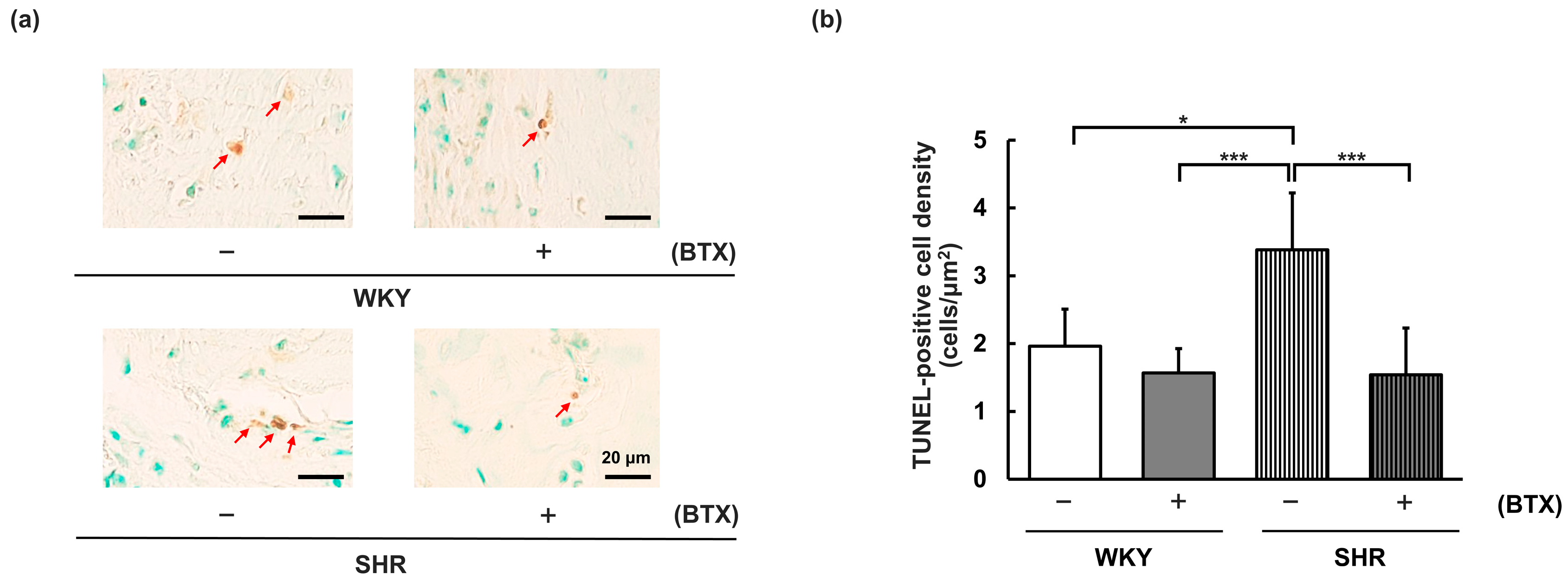 Preprints 227129 g008 Preprints 227129 g008