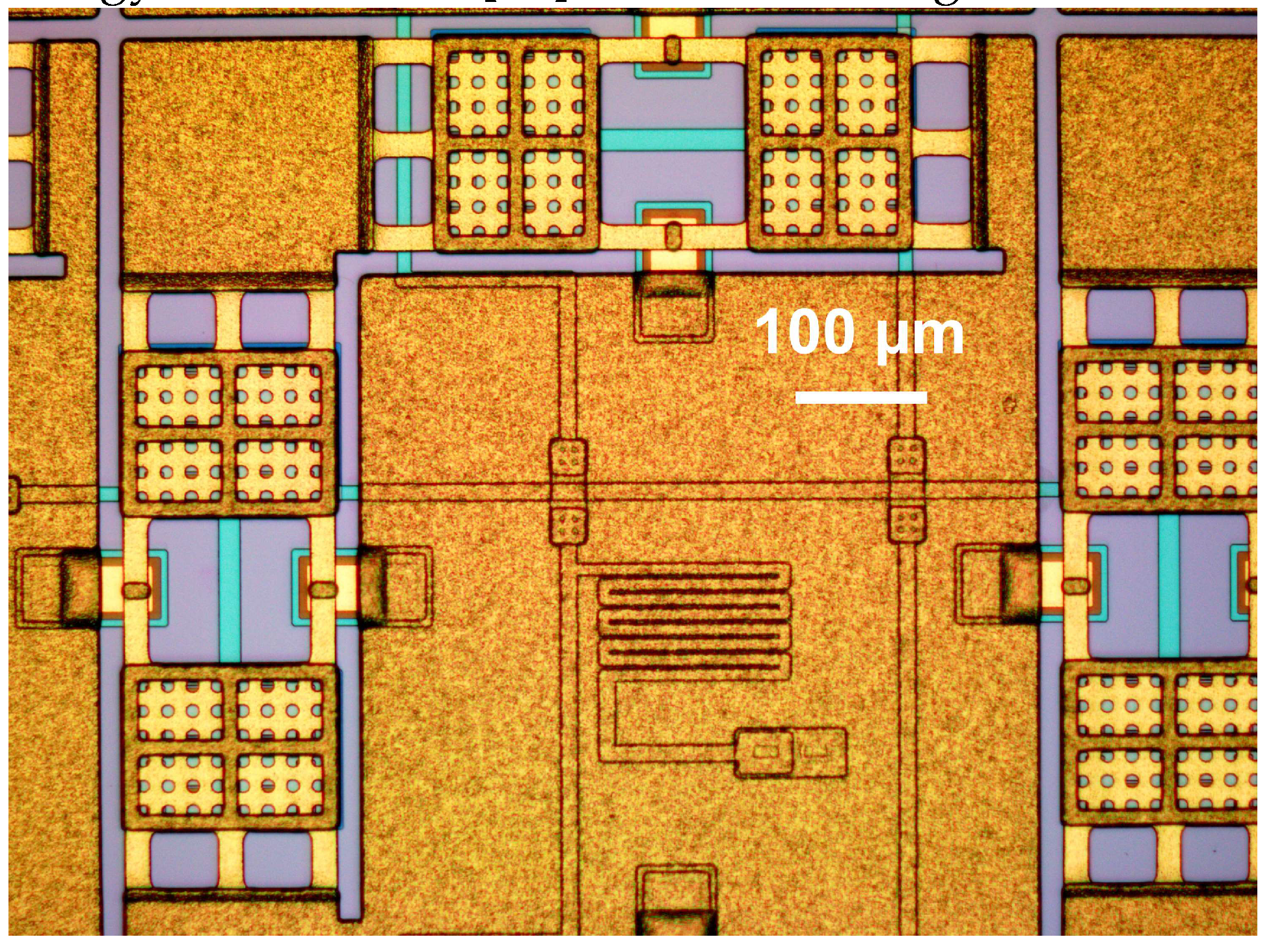 Preprints 138879 g004