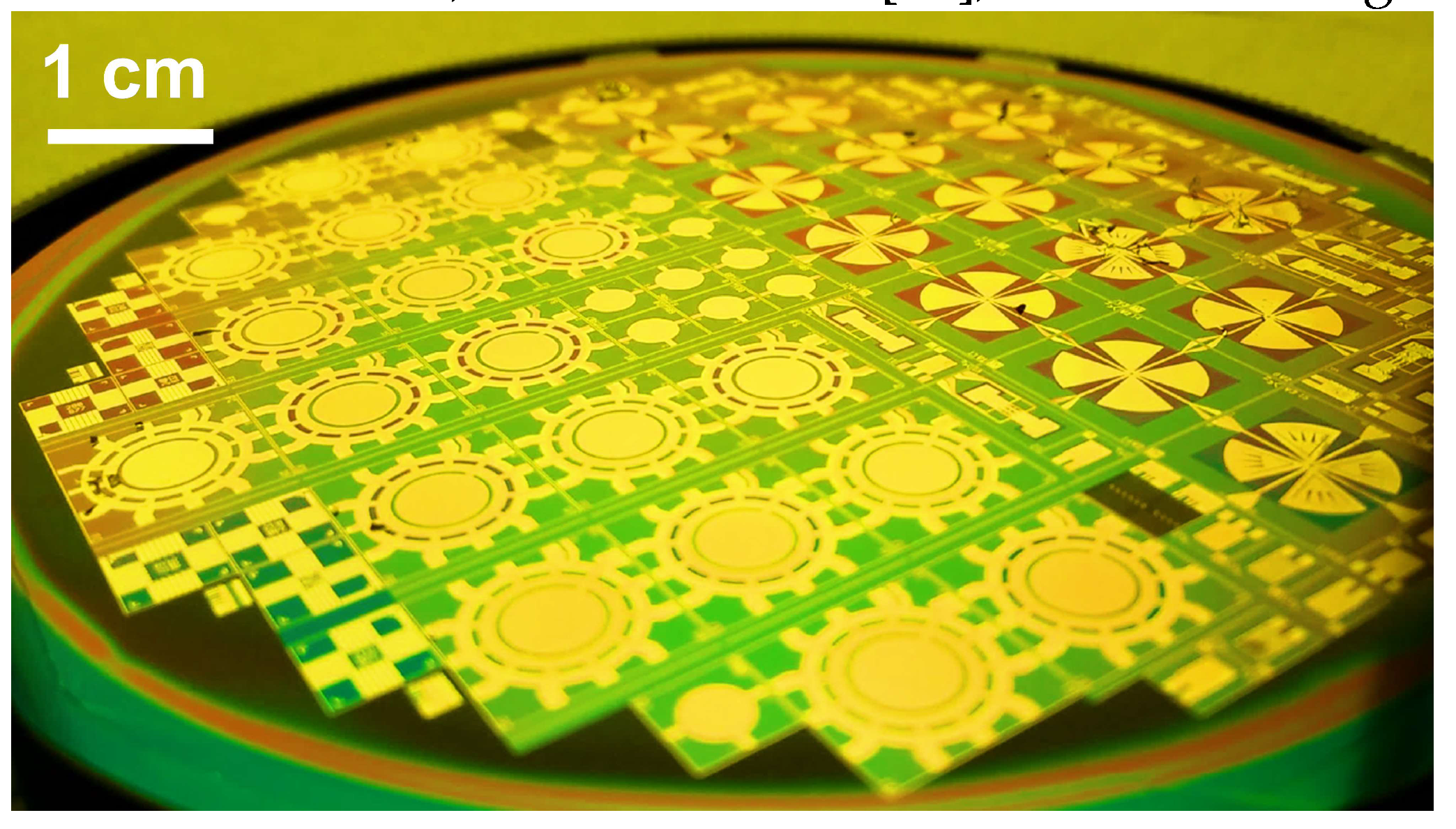 Preprints 138879 g005