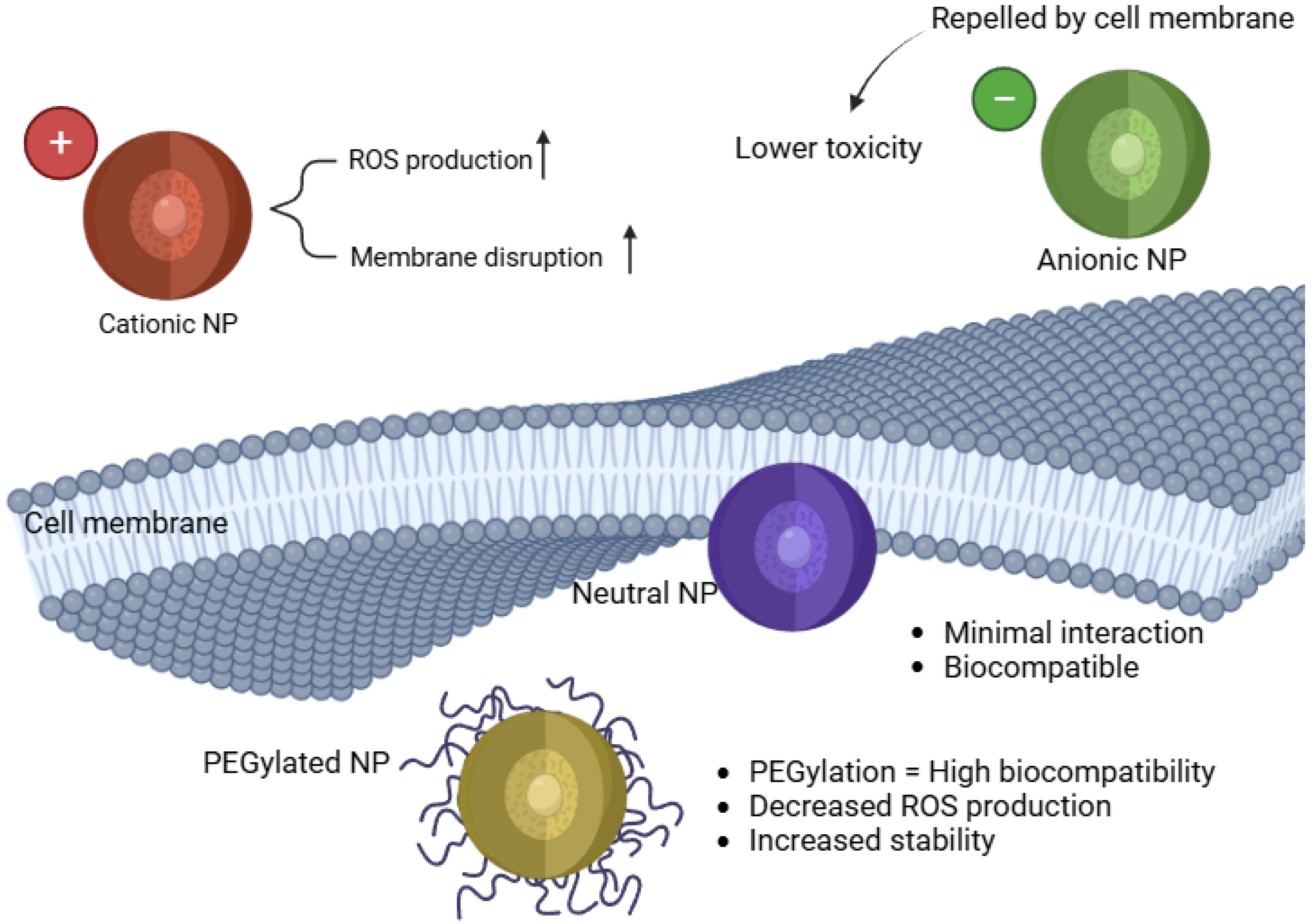 Preprints 153037 g002