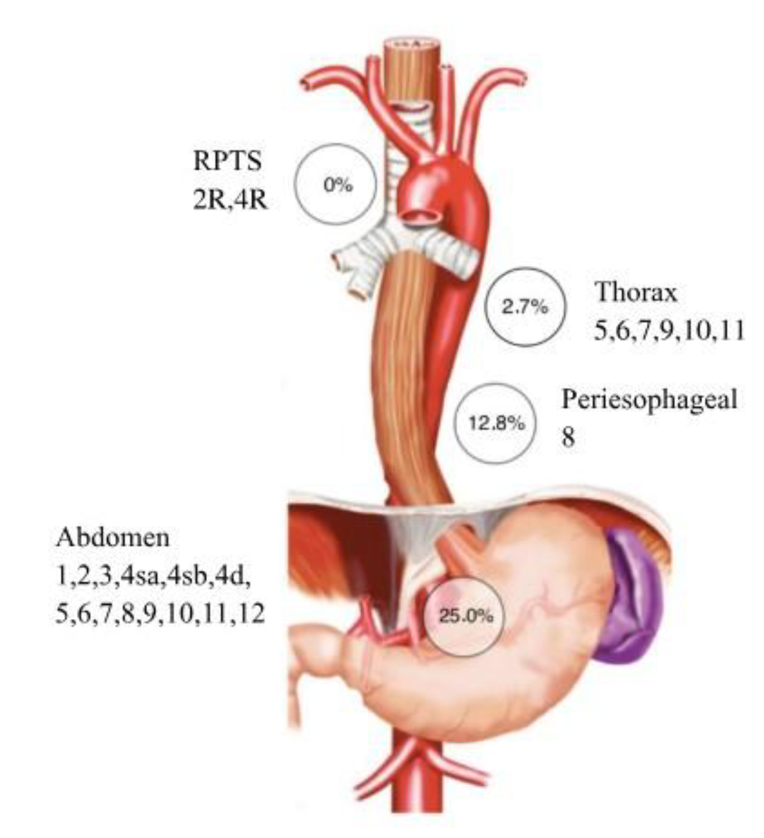 Preprints 174769 g001
