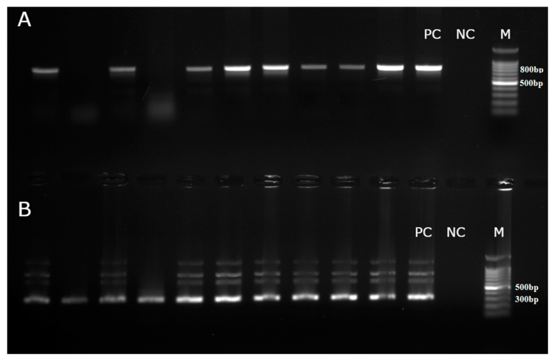 Preprints 235717 g002