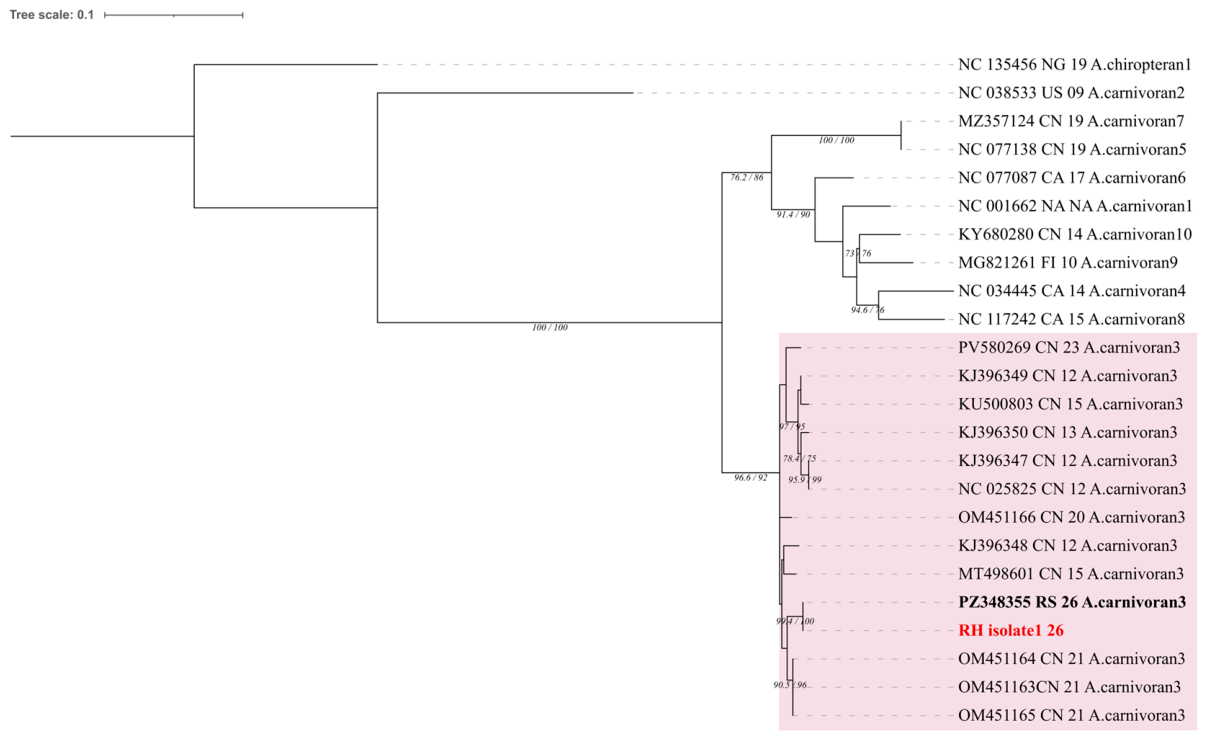 Preprints 235717 g003