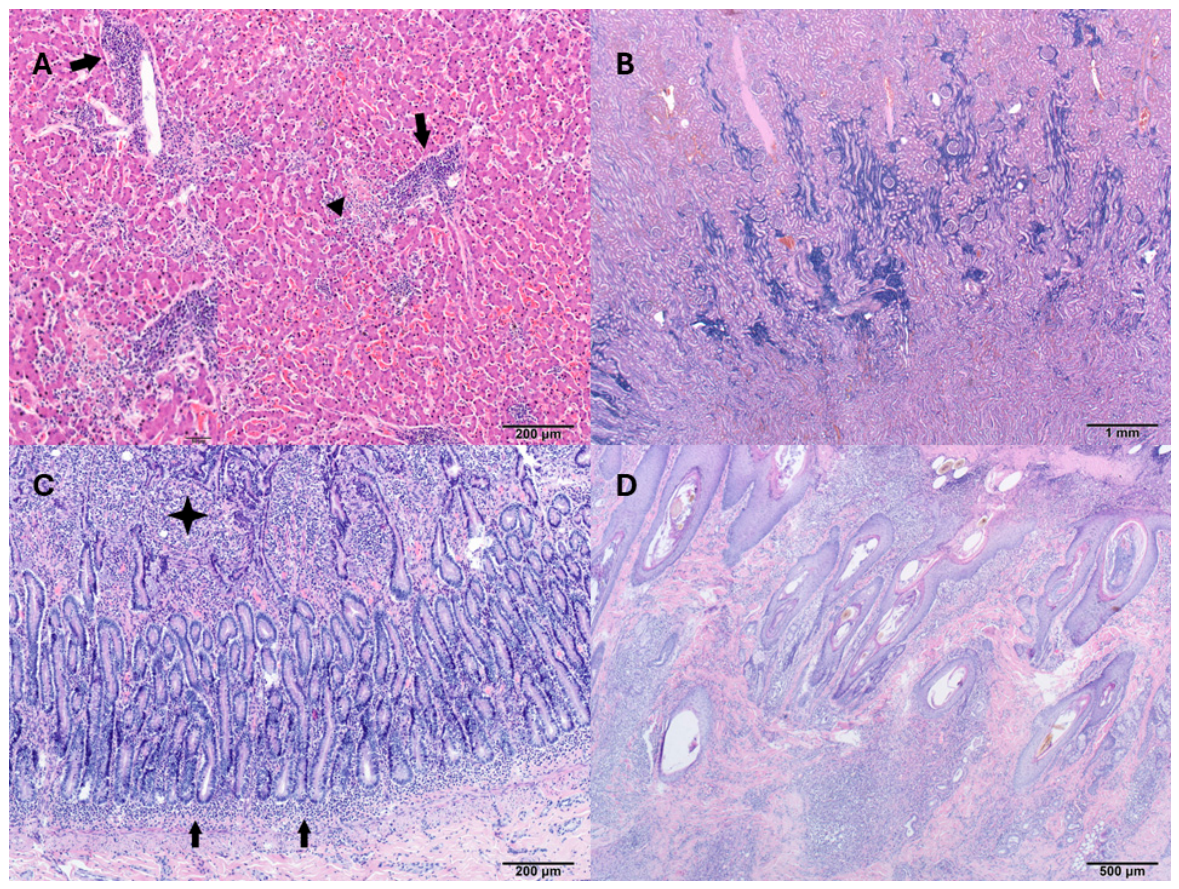 Preprints 235717 g004