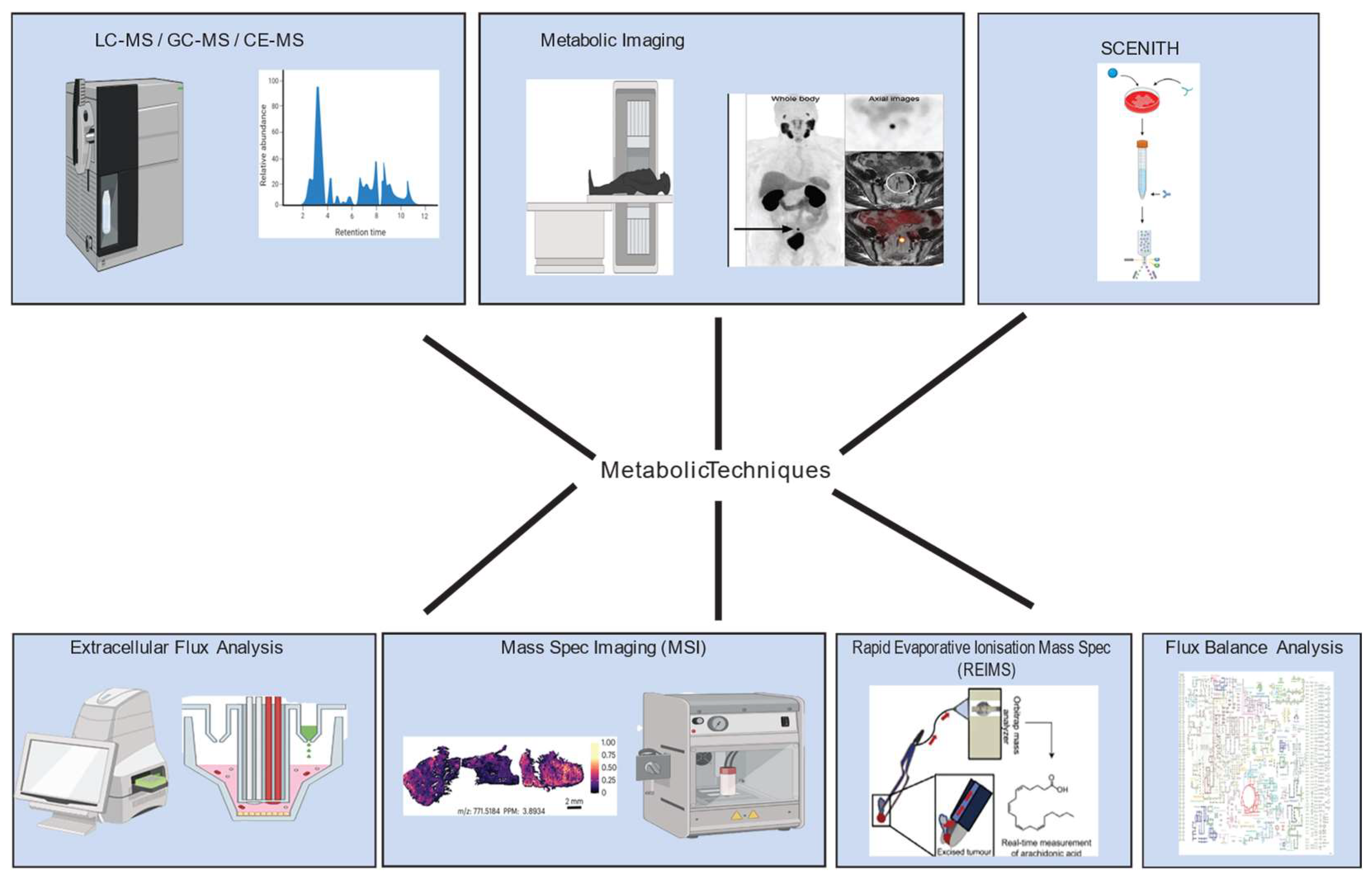 Preprints 140887 g001