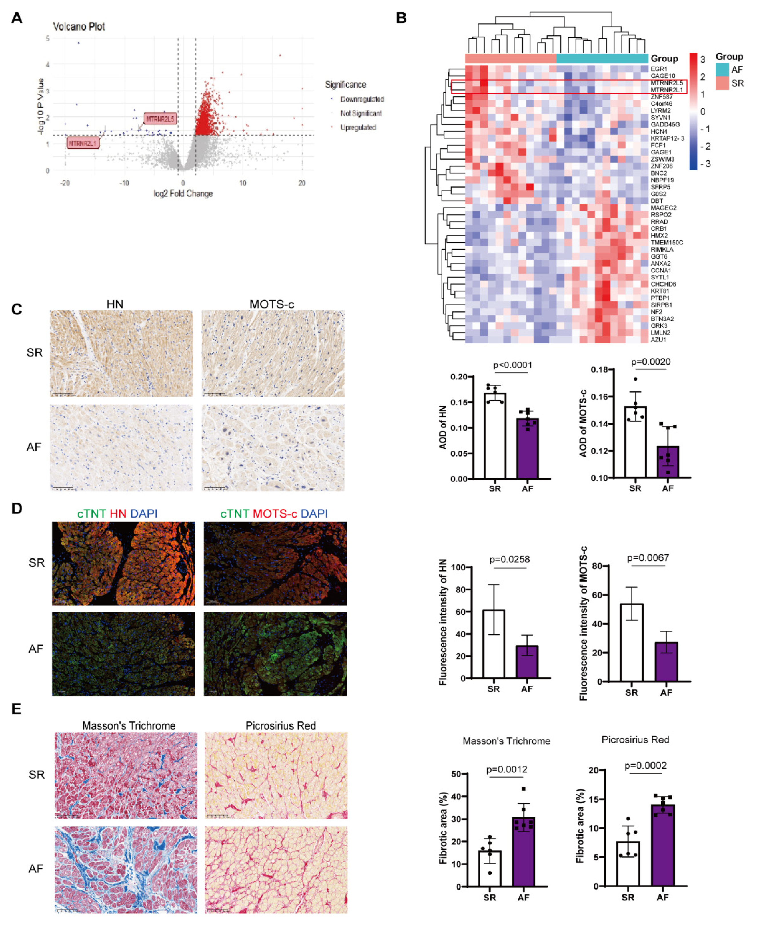 Preprints 206690 g001 Preprints 206690 g001