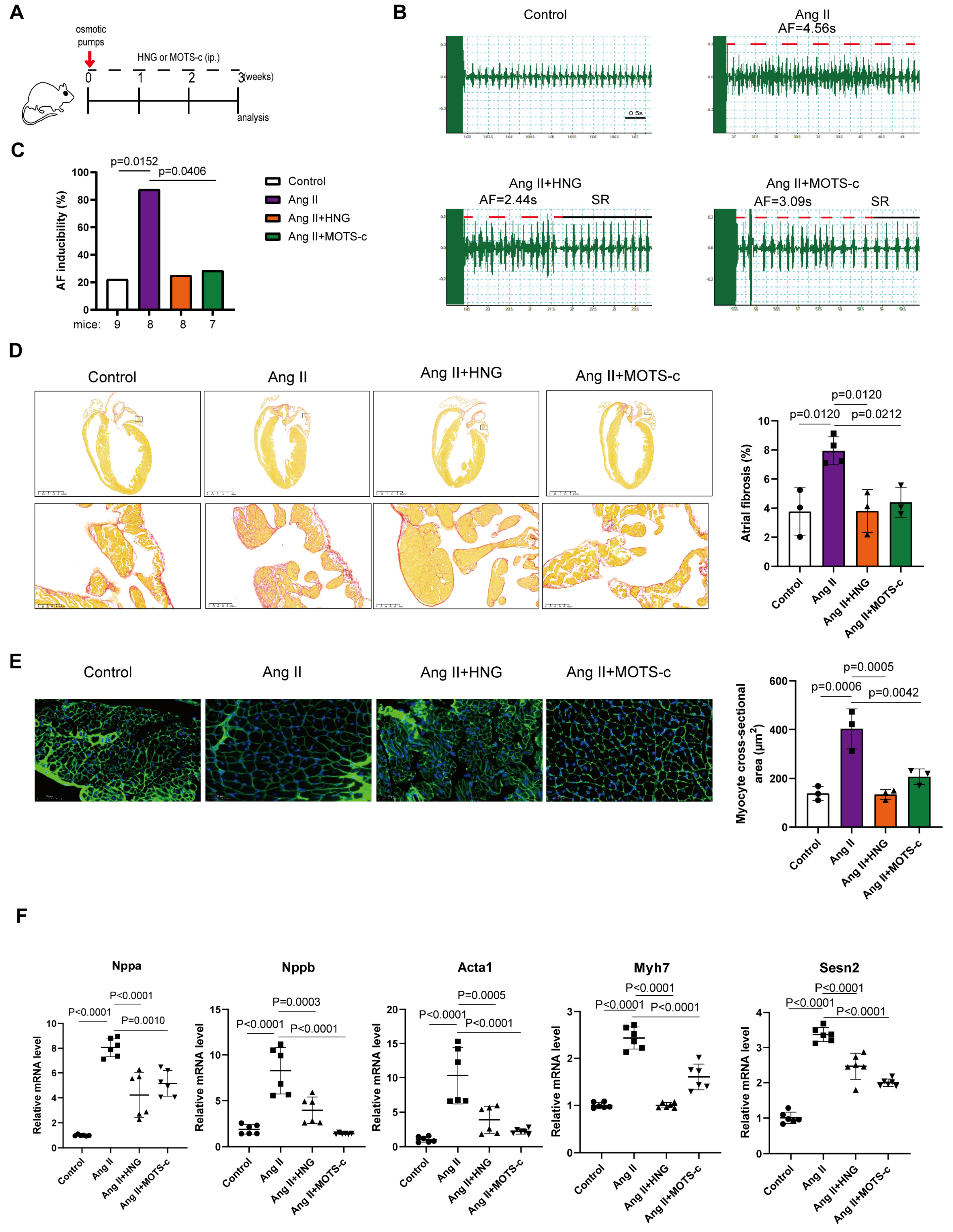 Preprints 206690 g004 Preprints 206690 g004
