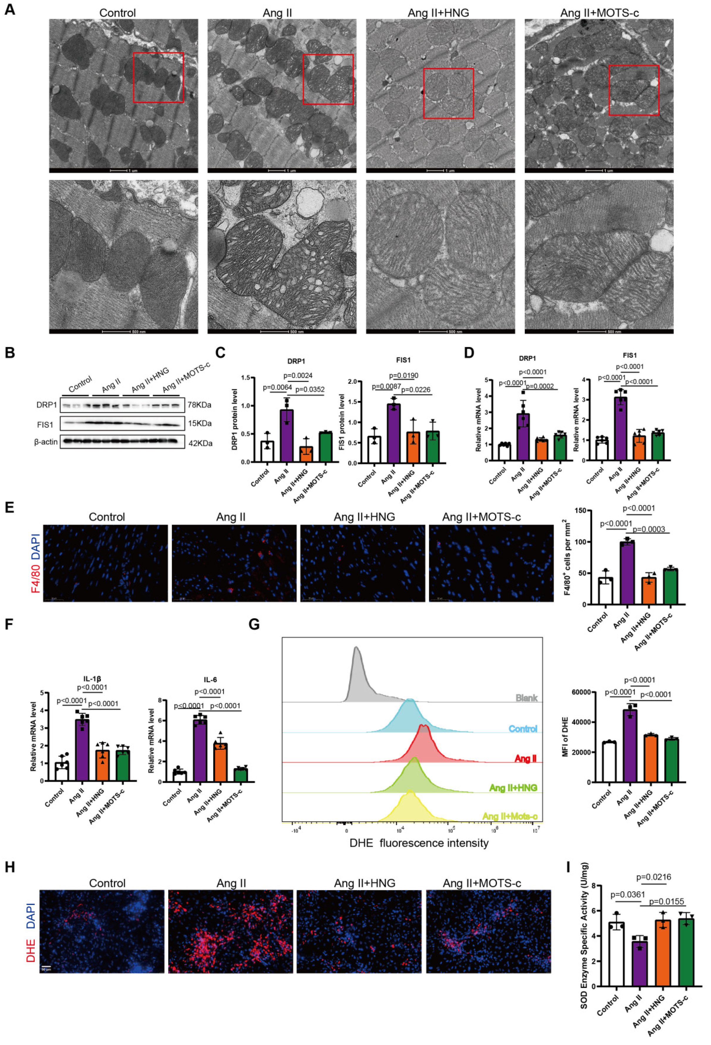 Preprints 206690 g005 Preprints 206690 g005