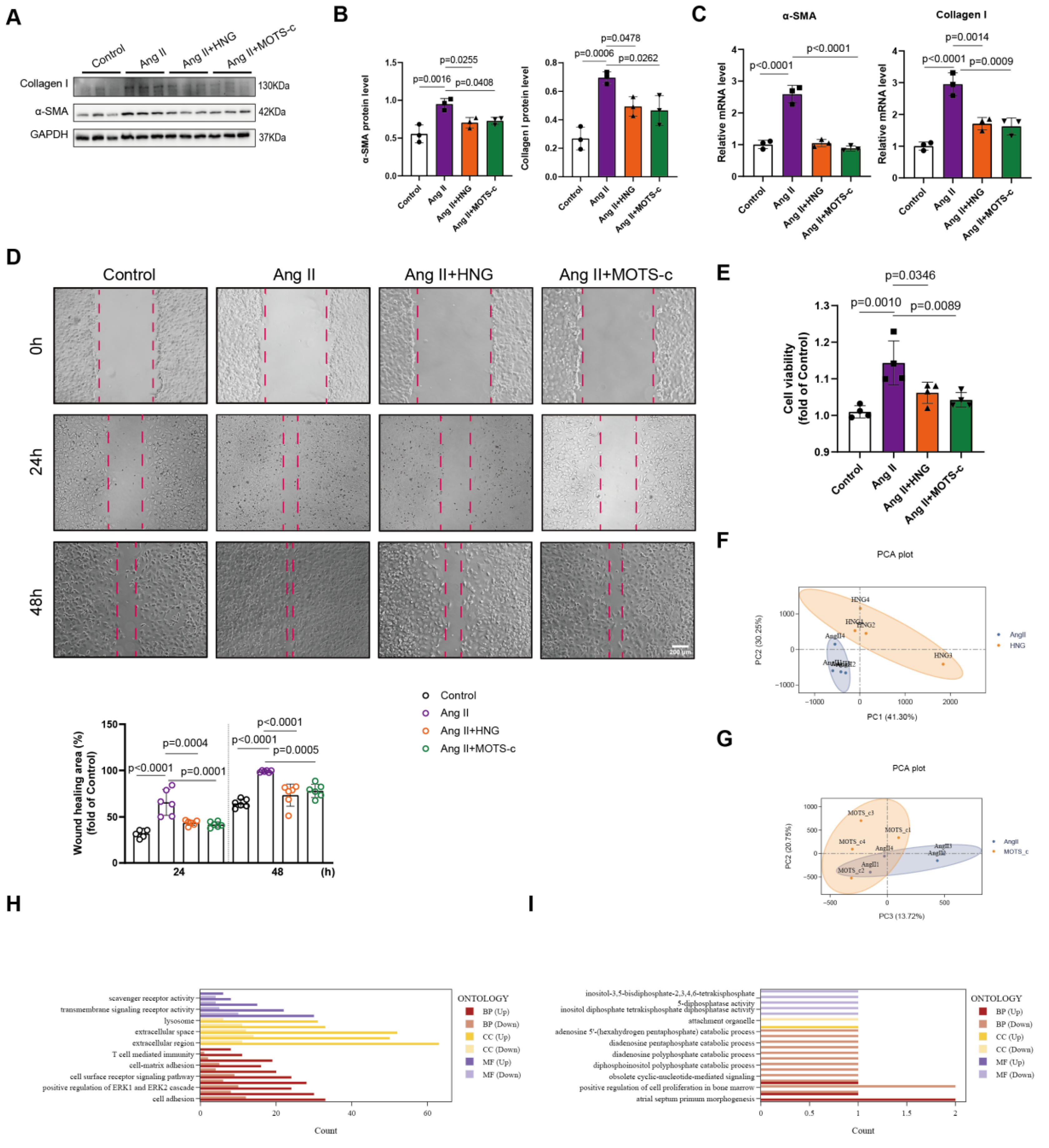 Preprints 206690 g006 Preprints 206690 g006