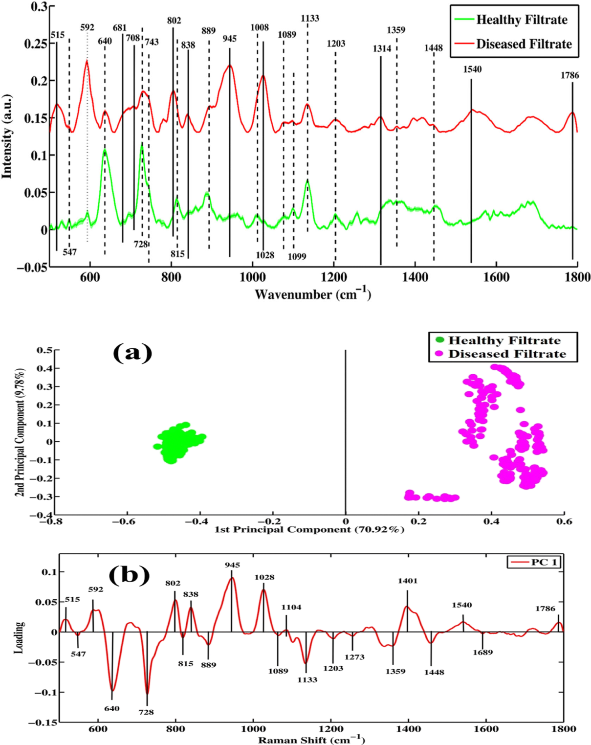 Preprints 216035 g003 Preprints 216035 g003