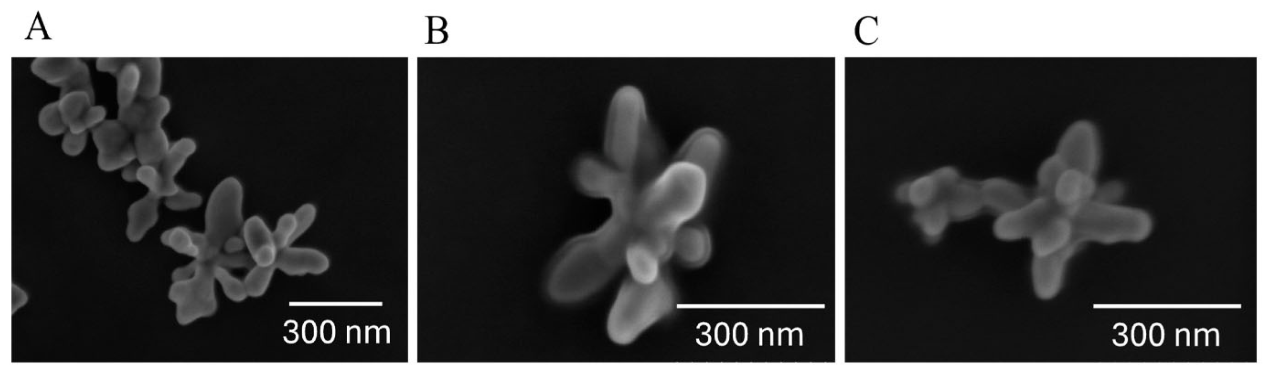 Preprints 216035 g005 Preprints 216035 g005