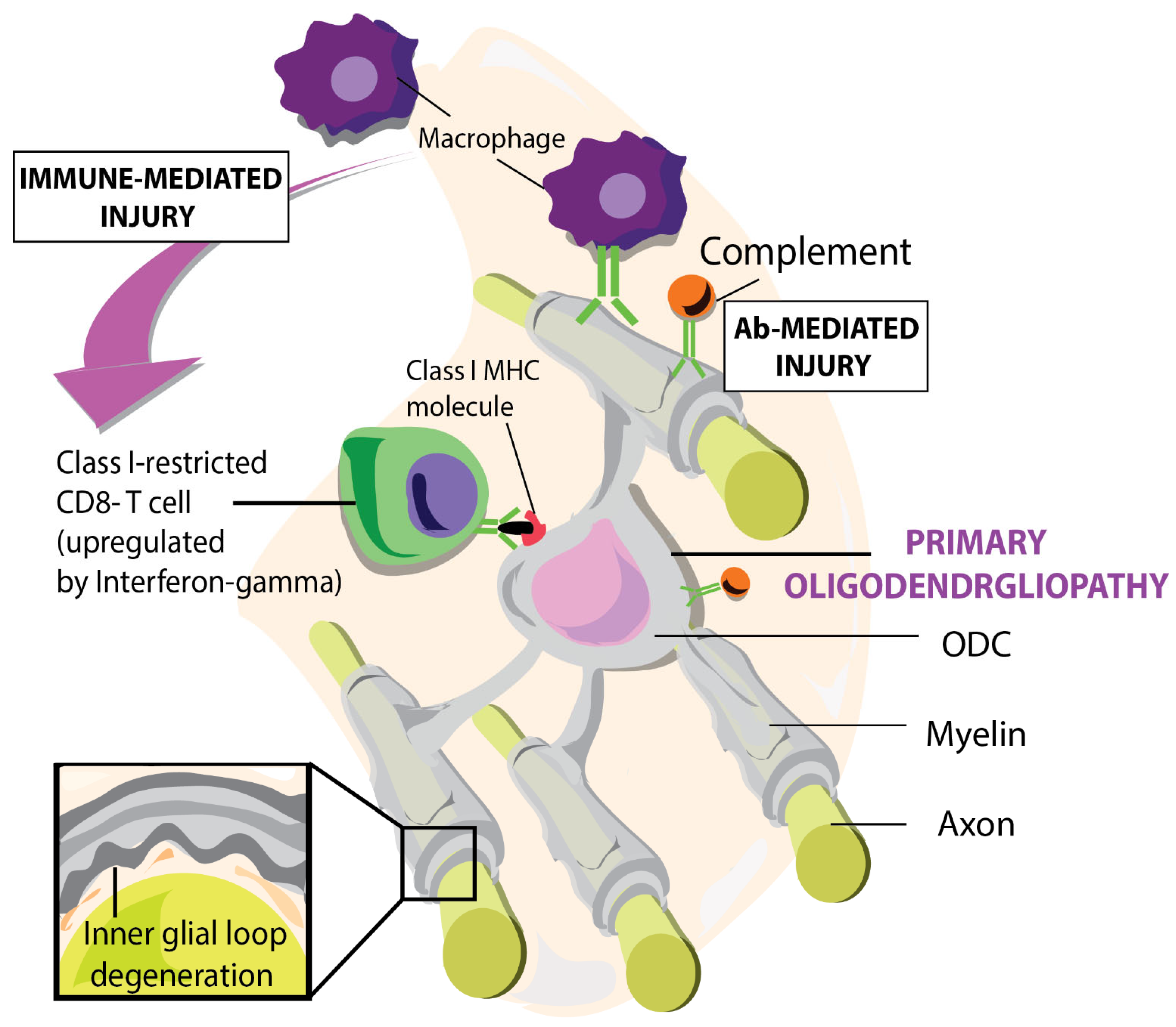 Preprints 165475 g001