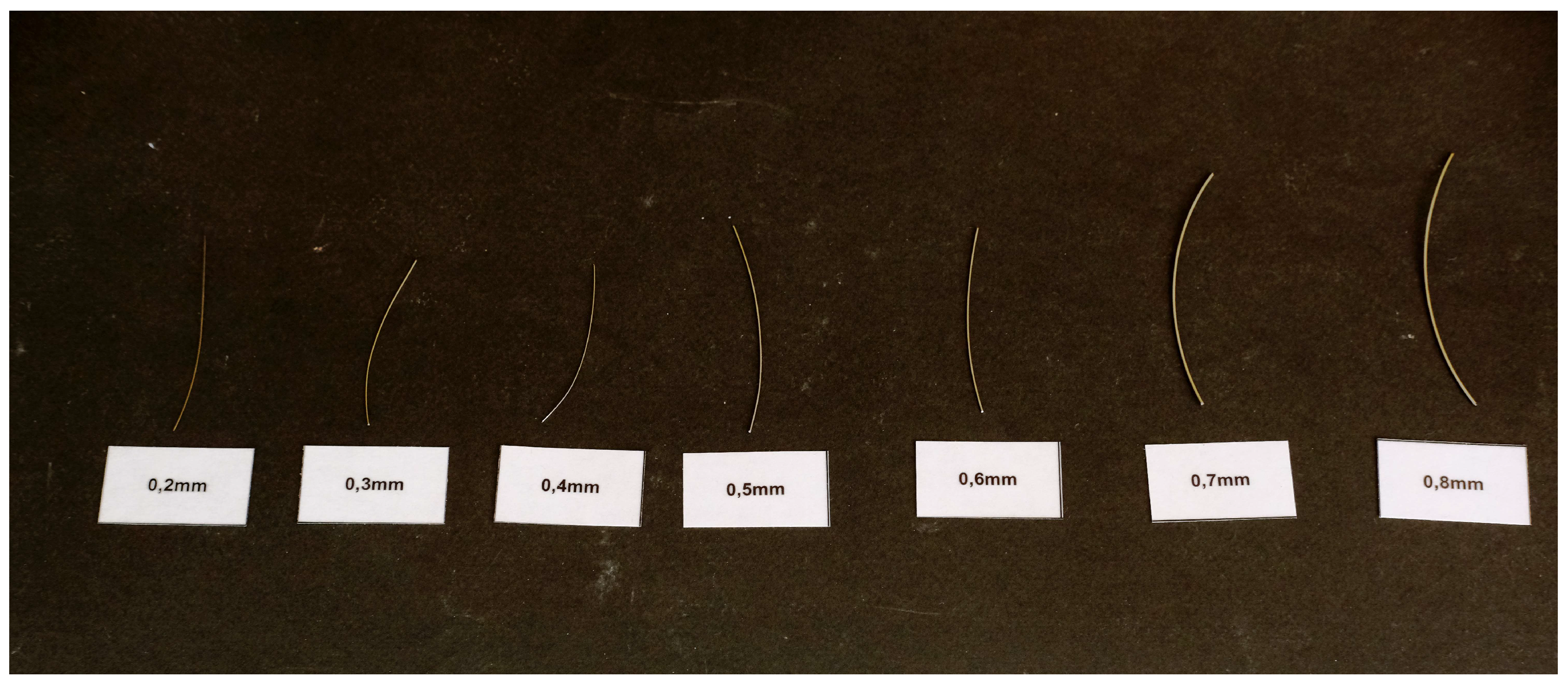 Preprints 146120 g001